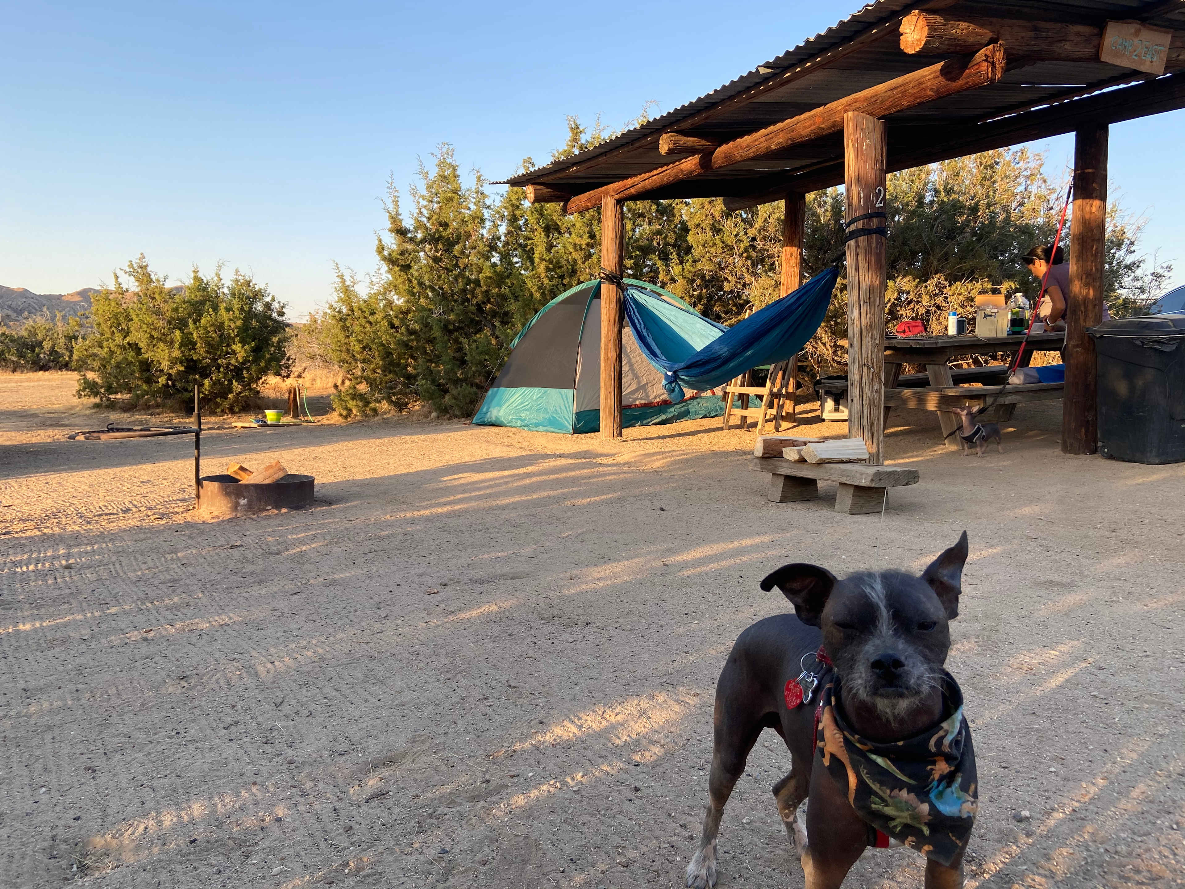 Cuyama Badlands