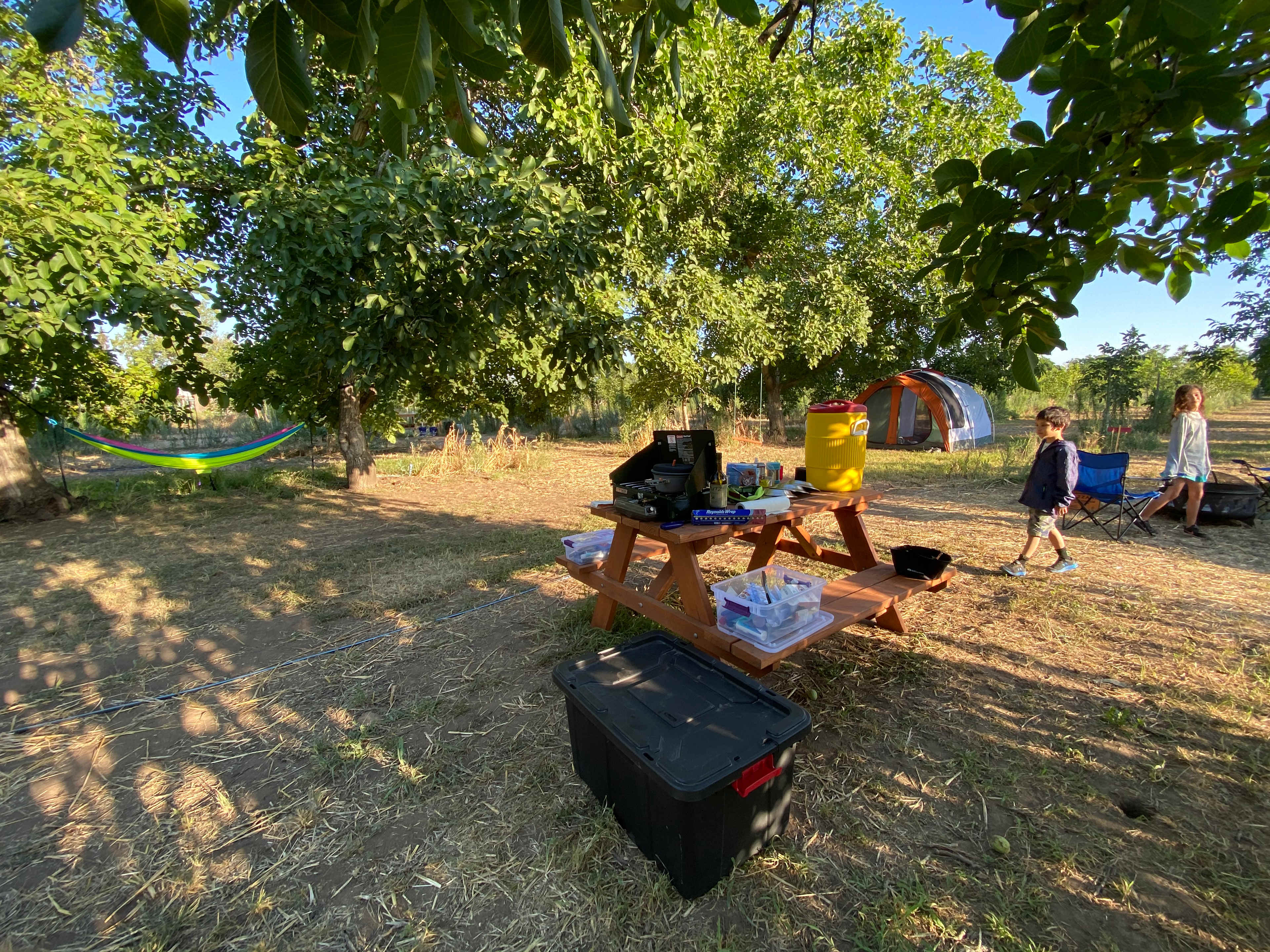 Picture of the site