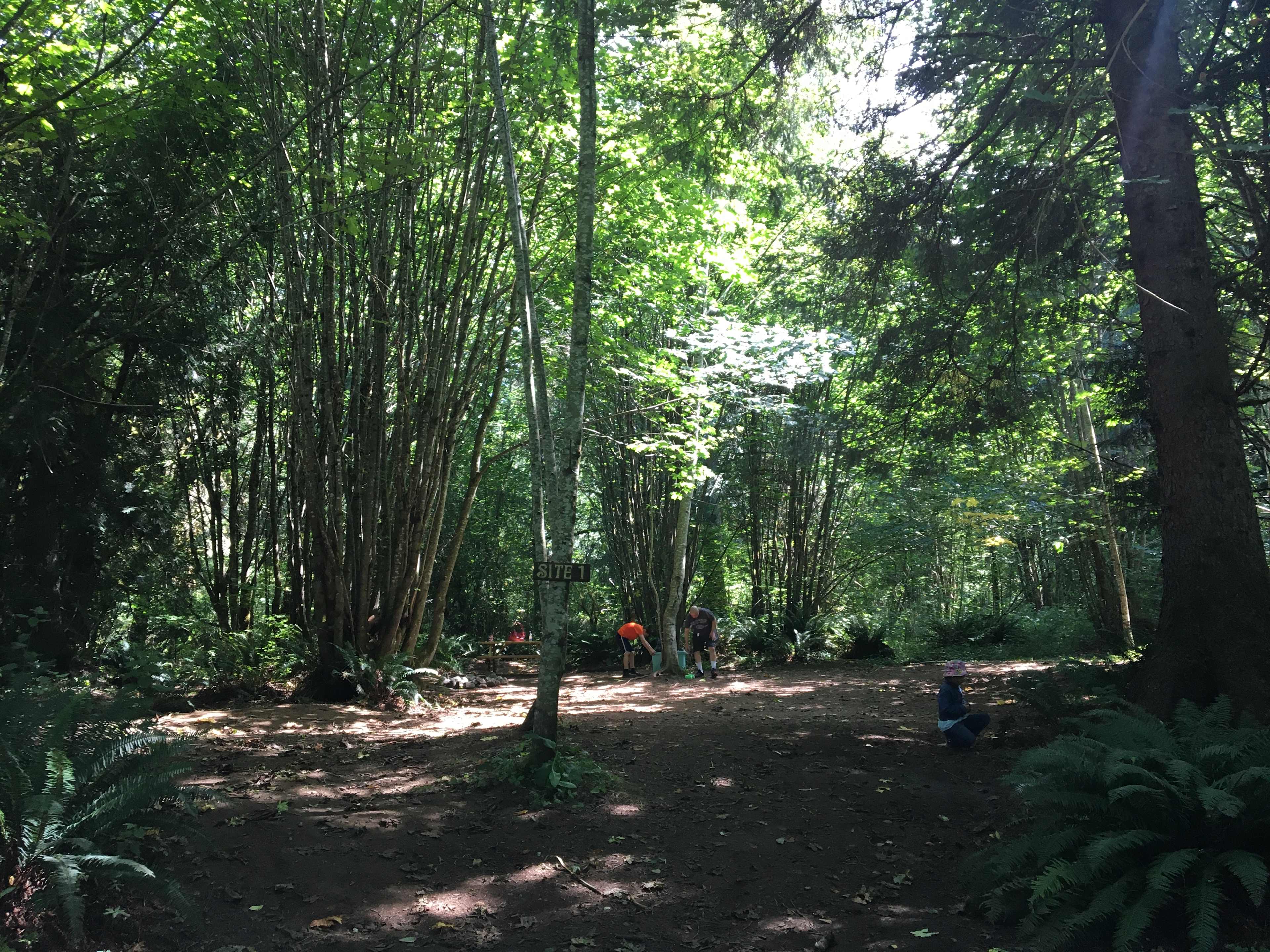 Picture of the site