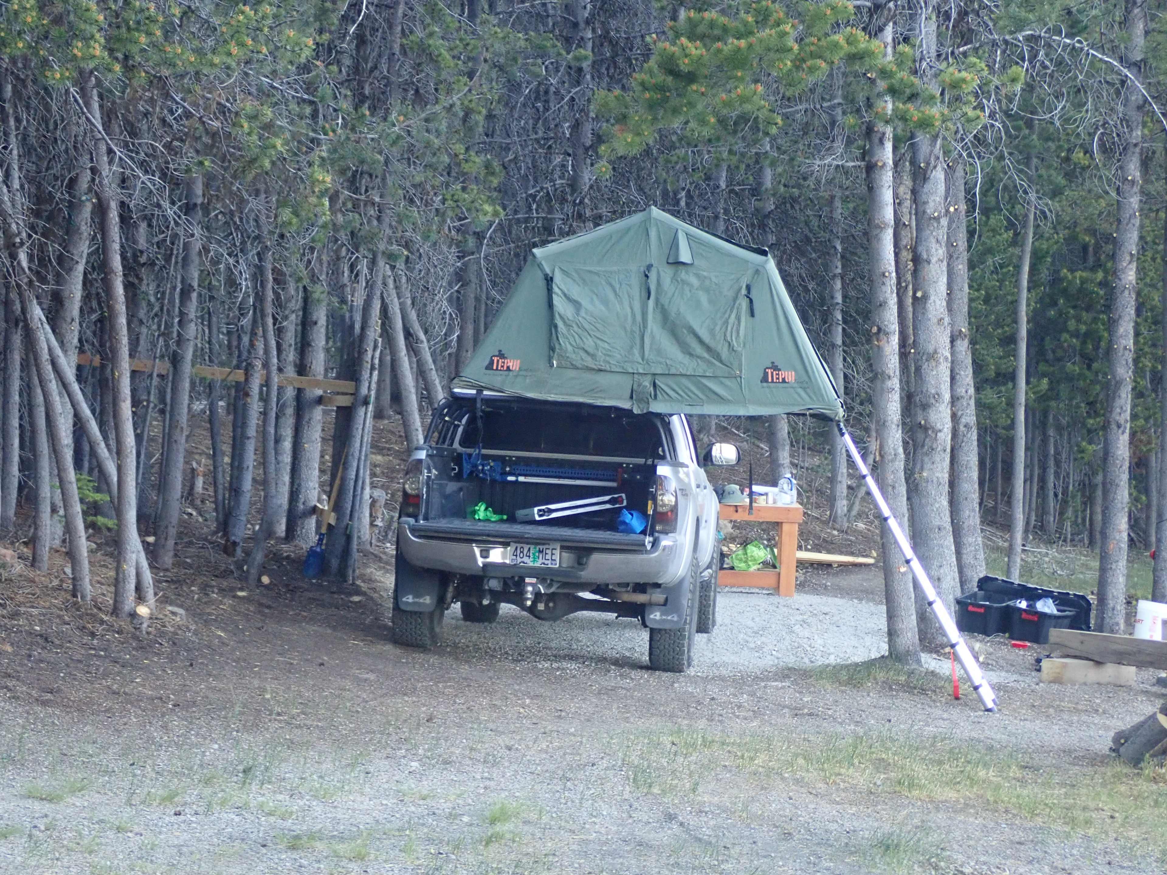Picture of the site