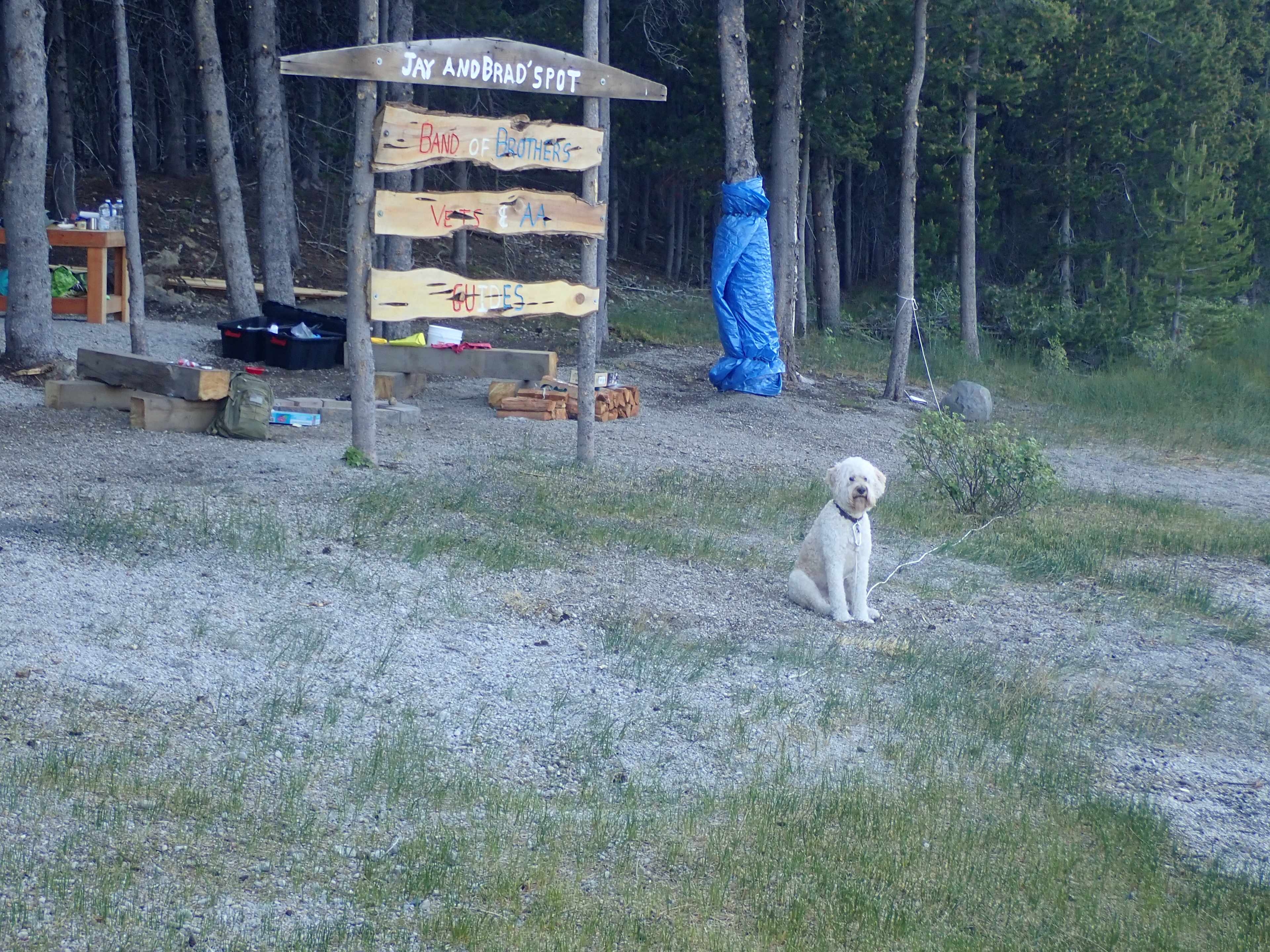Picture of the site