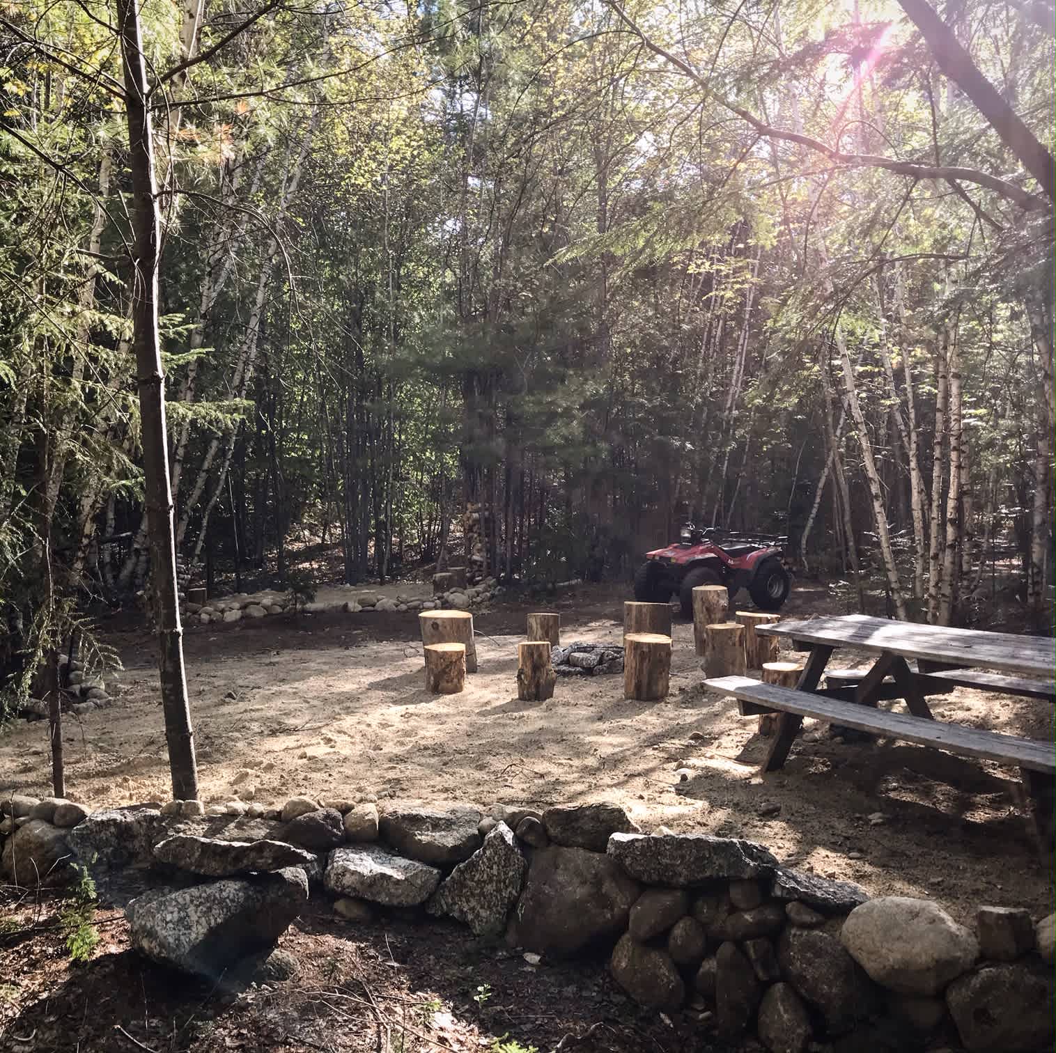 Picture of the site