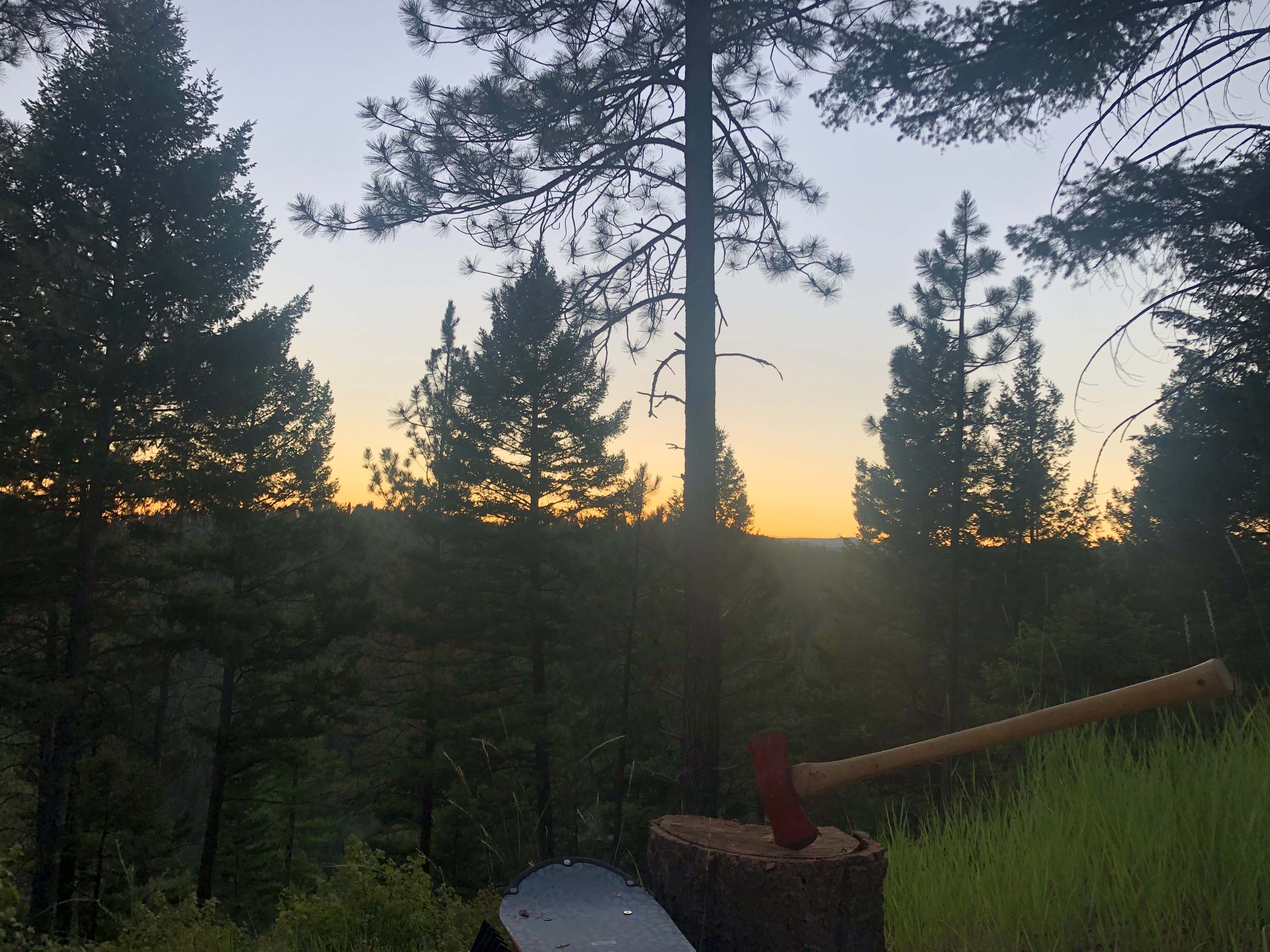 Sunset 
