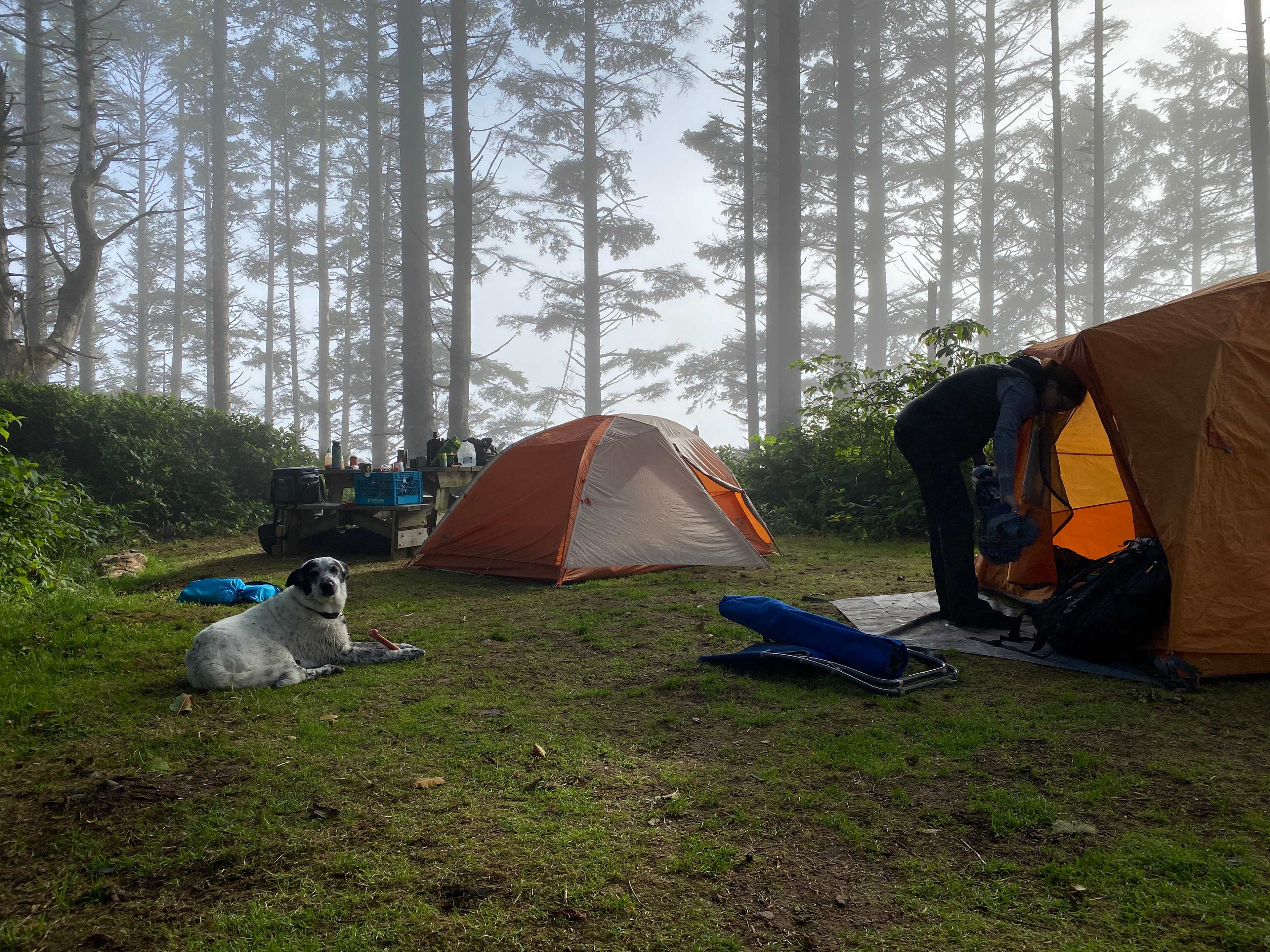 Campsite 