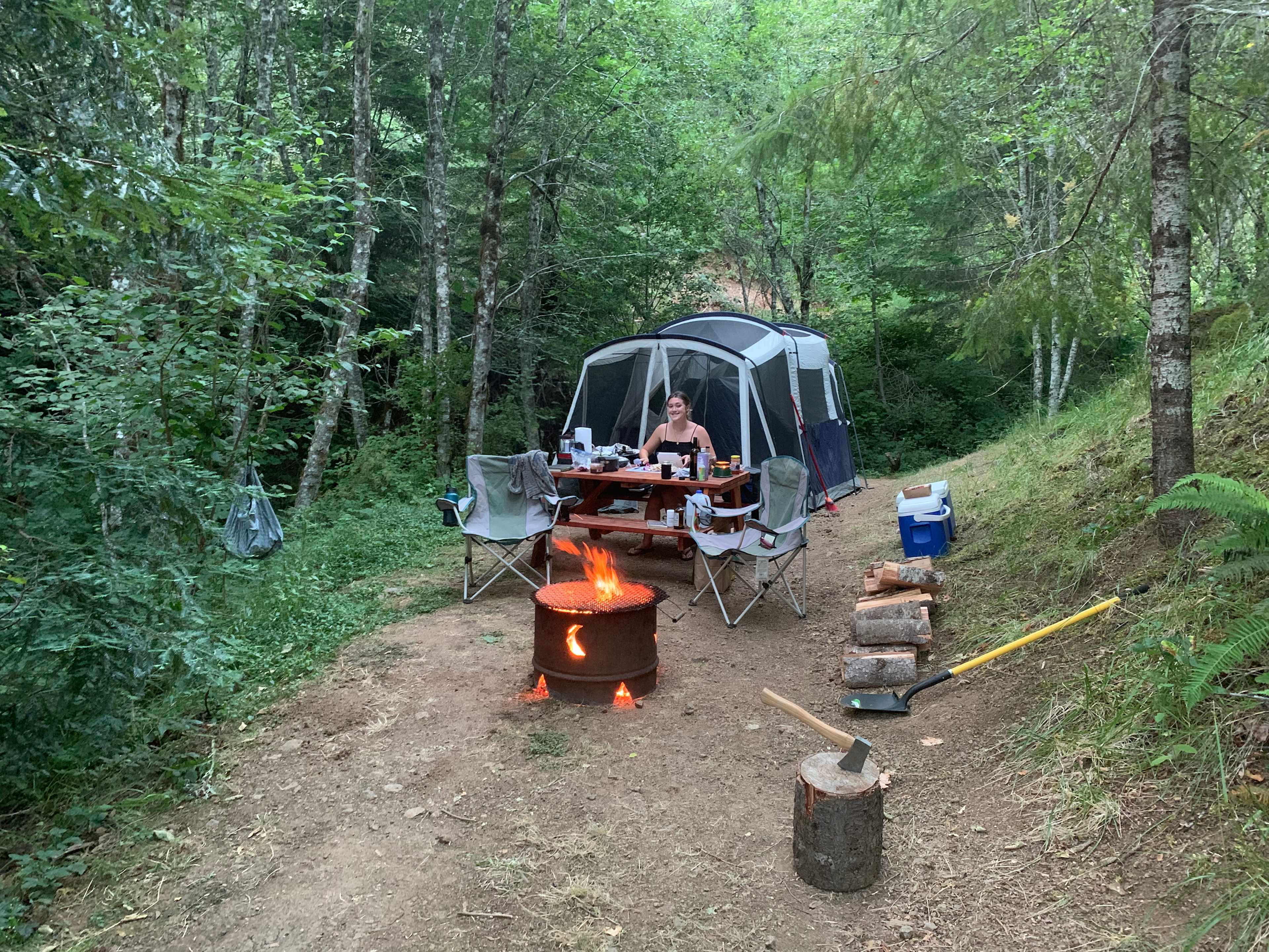 Picture of the site