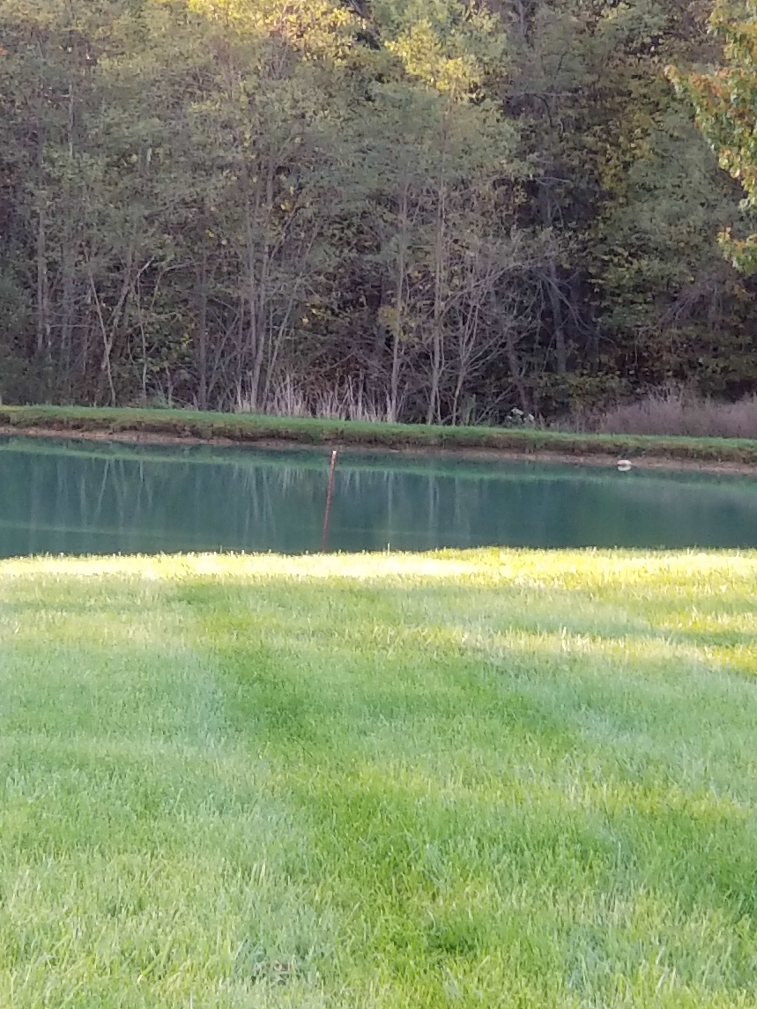View of lake