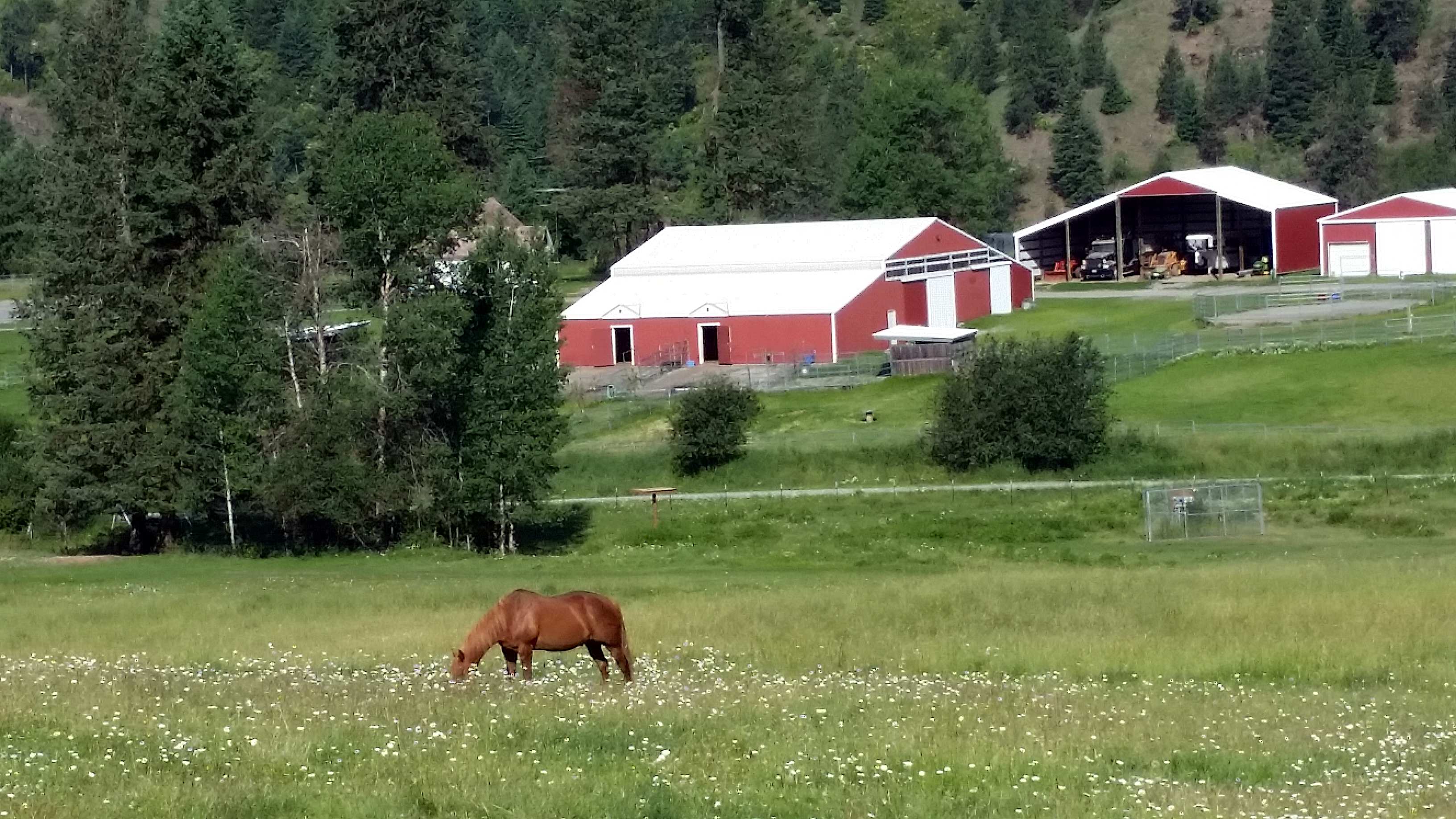 This is a view from the top of our property of the ranch truly a peaceful place to rest.