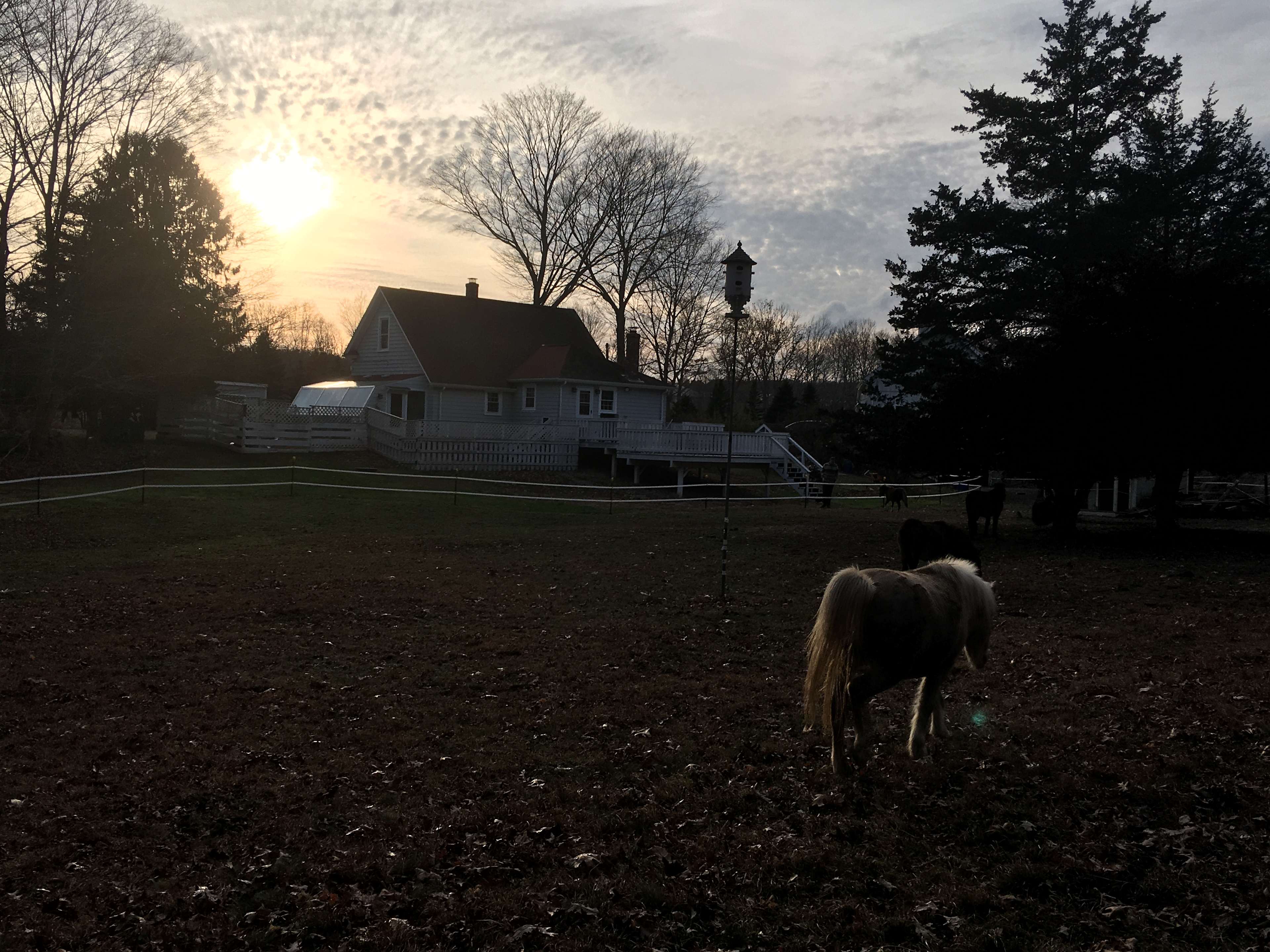 Field behind farmhouse