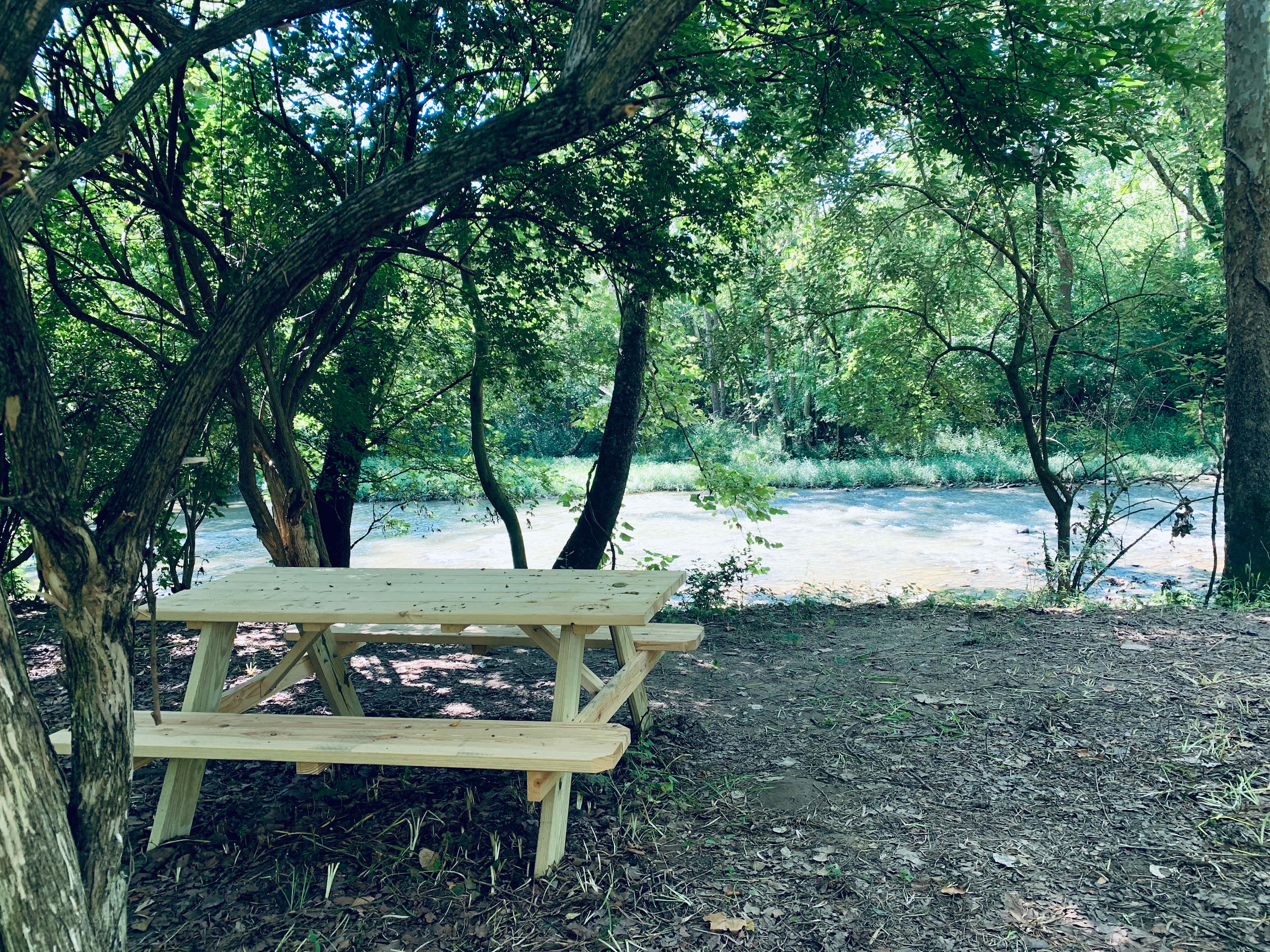 Picture of the site