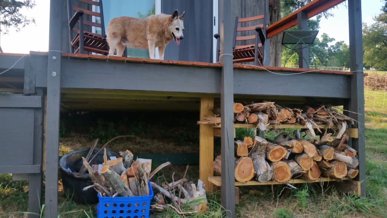 Reddy is making sure we left you plenty of firewood :)