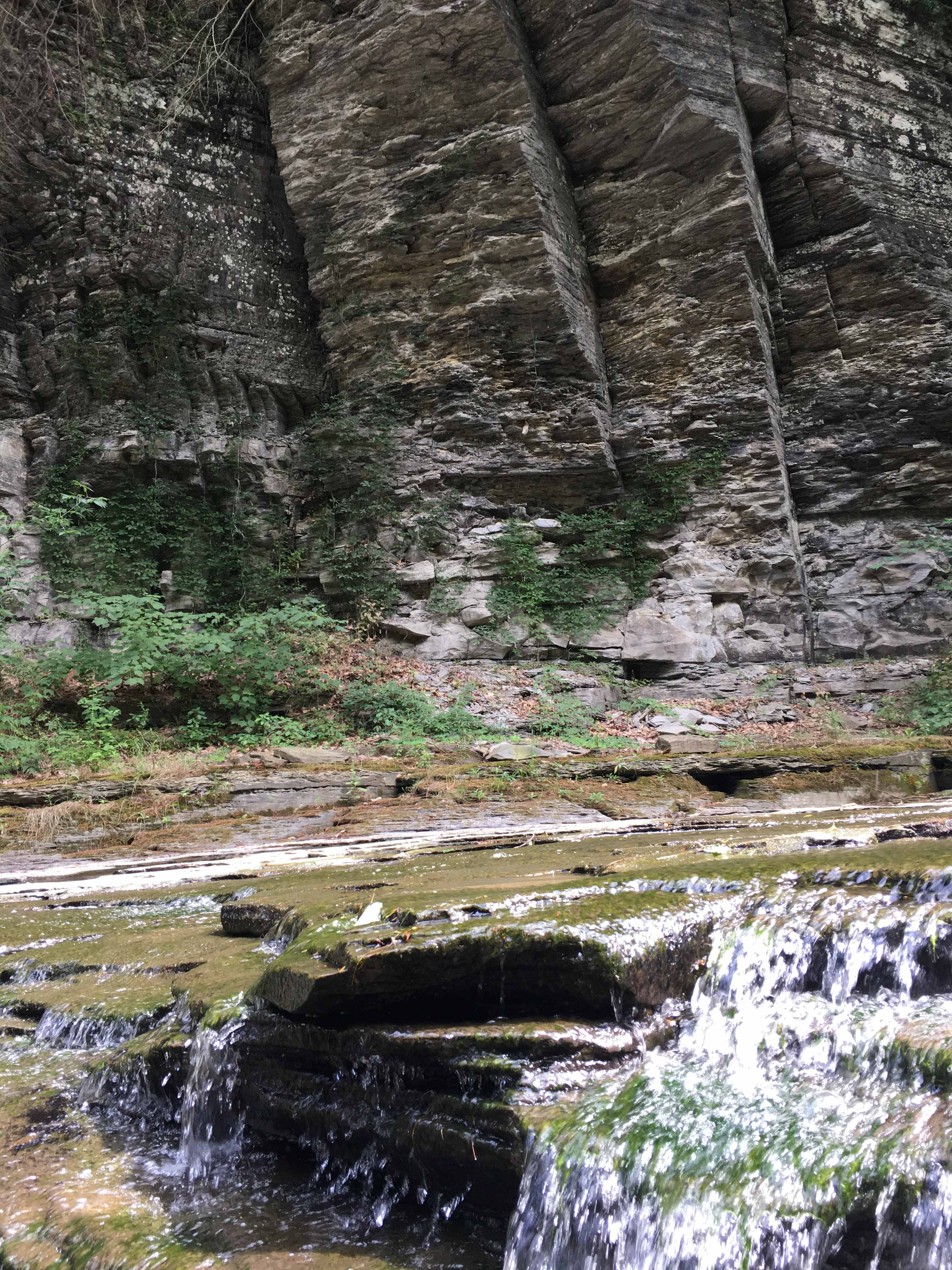 Millennia of Nature’s Work - Havana Glen