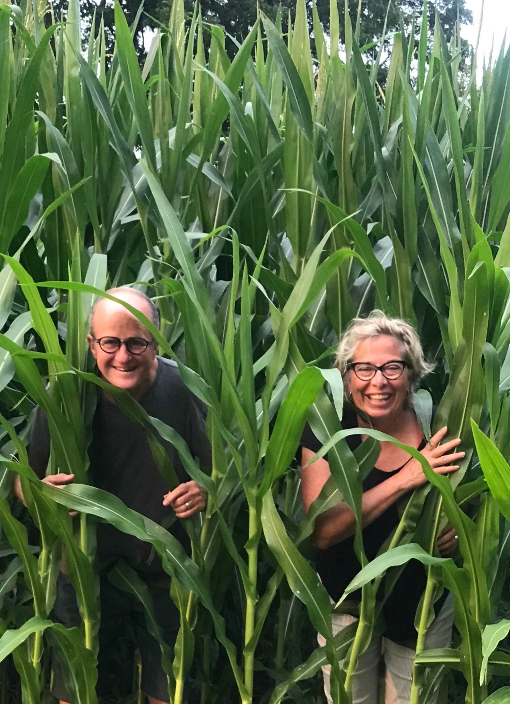 Playing Hide and Seek in the cornfield.....
