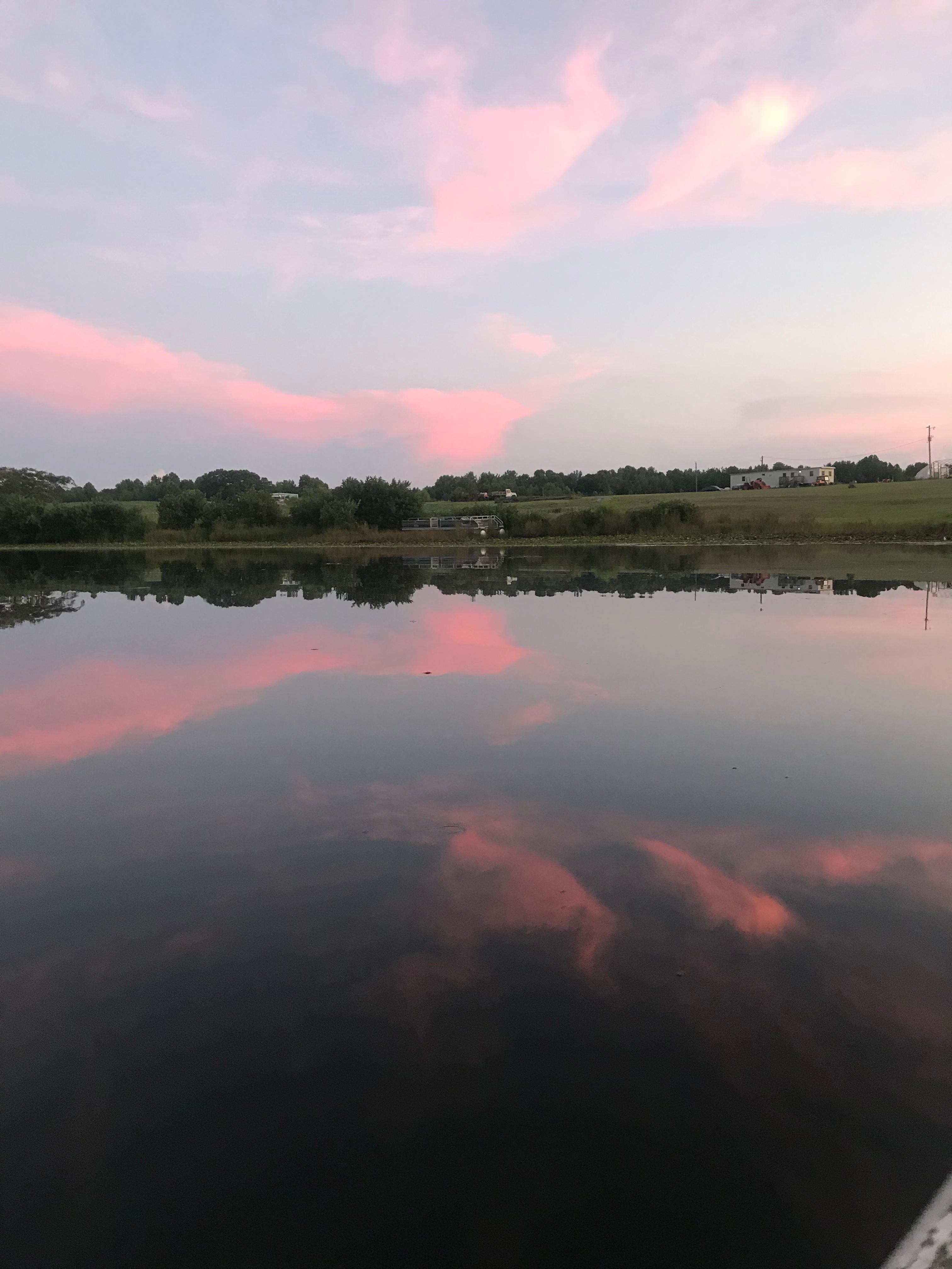 Dinwiddie Farms