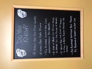 Fun bee facts in the bathroom !