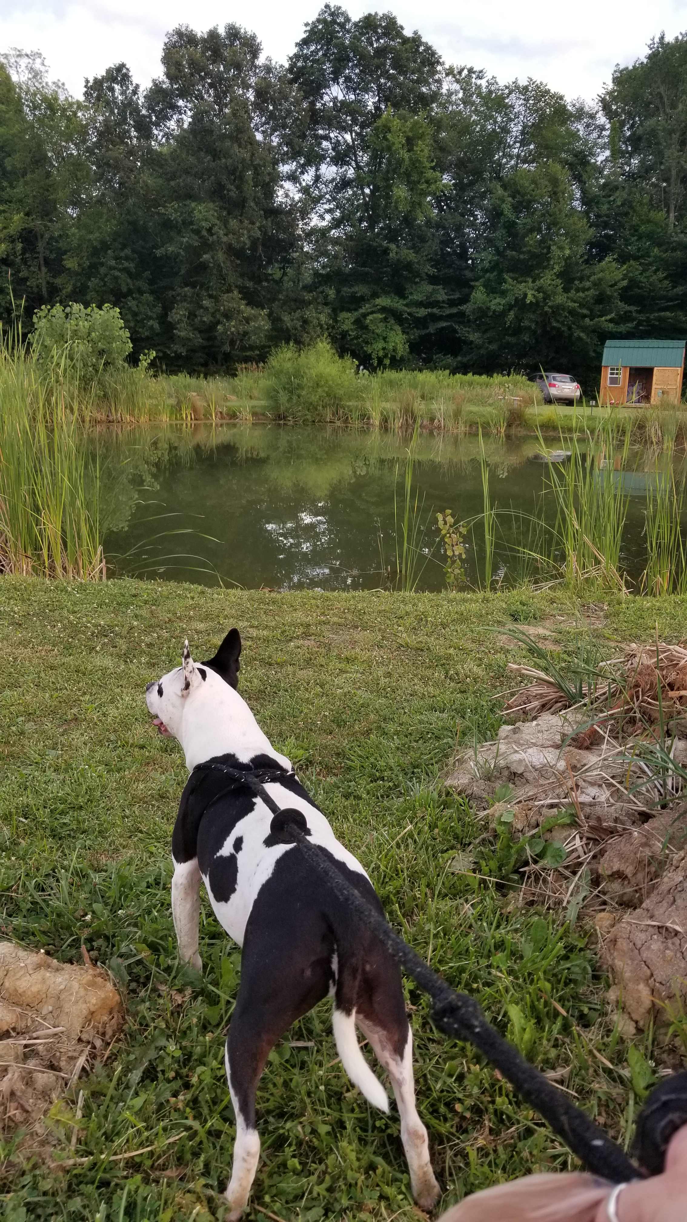 Grins & Pickin's CampFarm