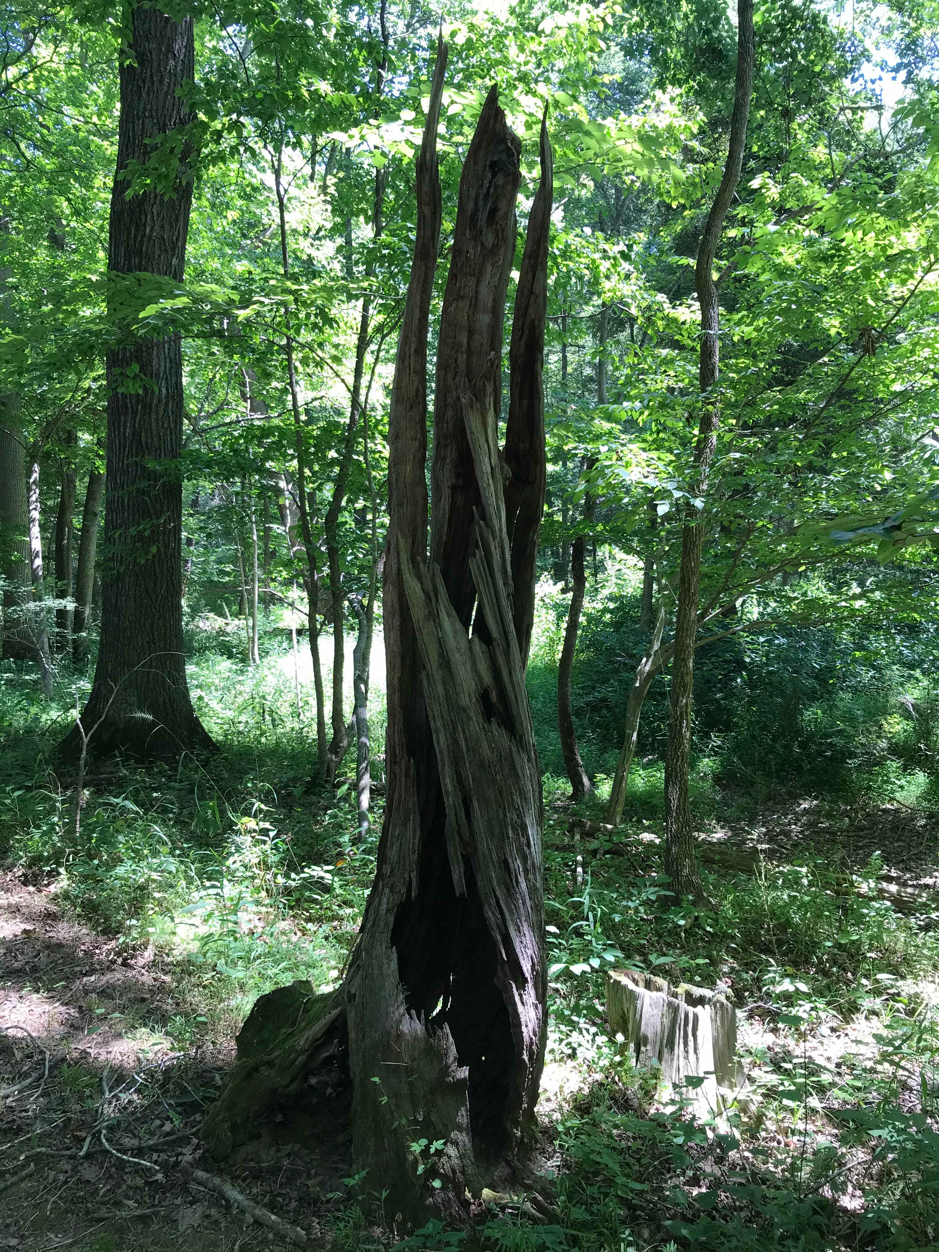 Nature ages gracefully!