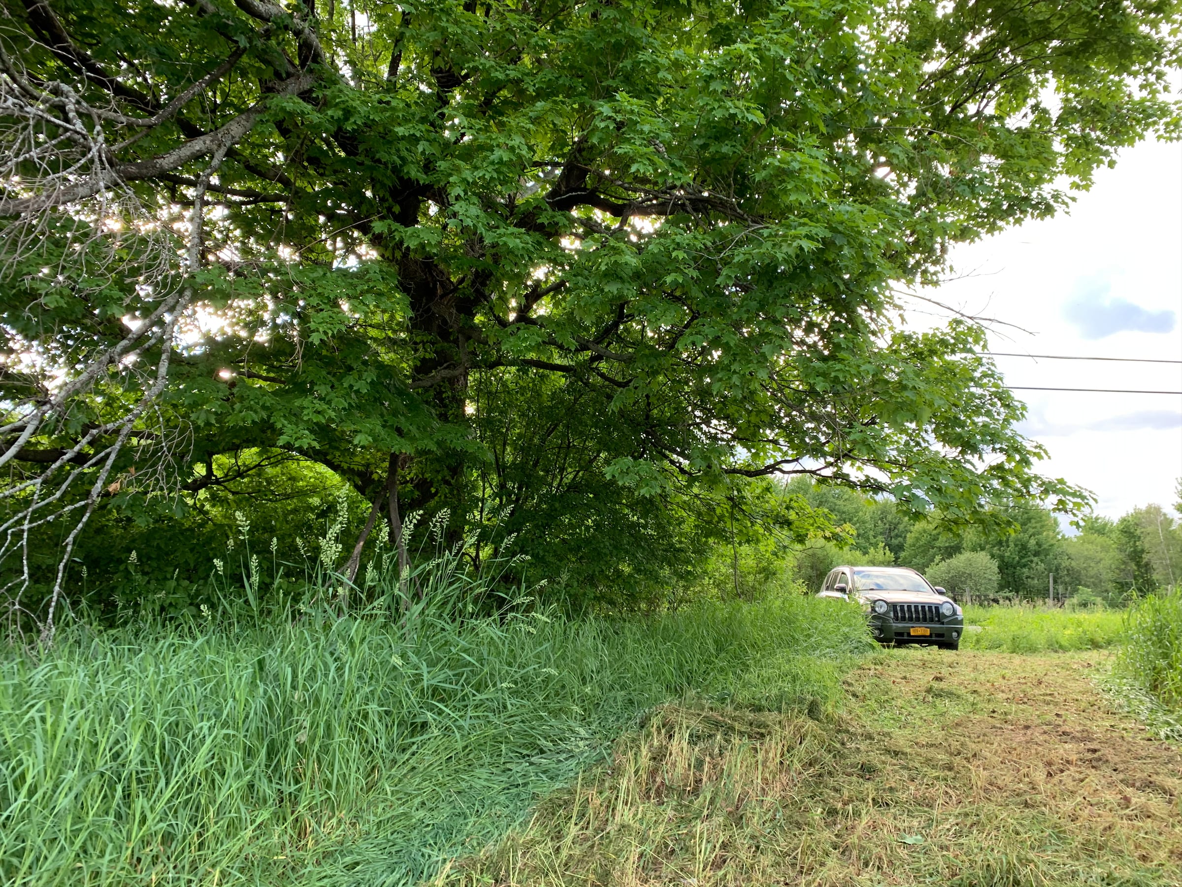 This is the parking section from the entry path.