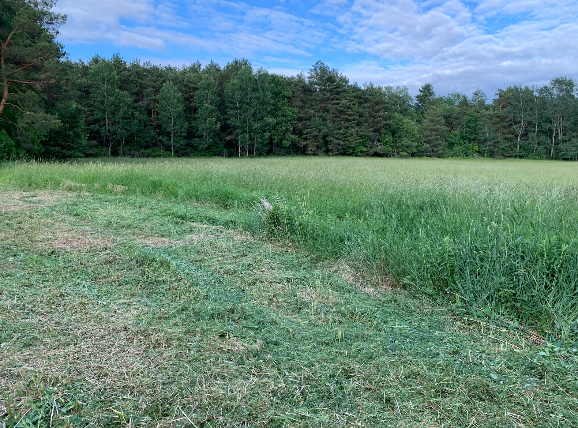 This is the site view.