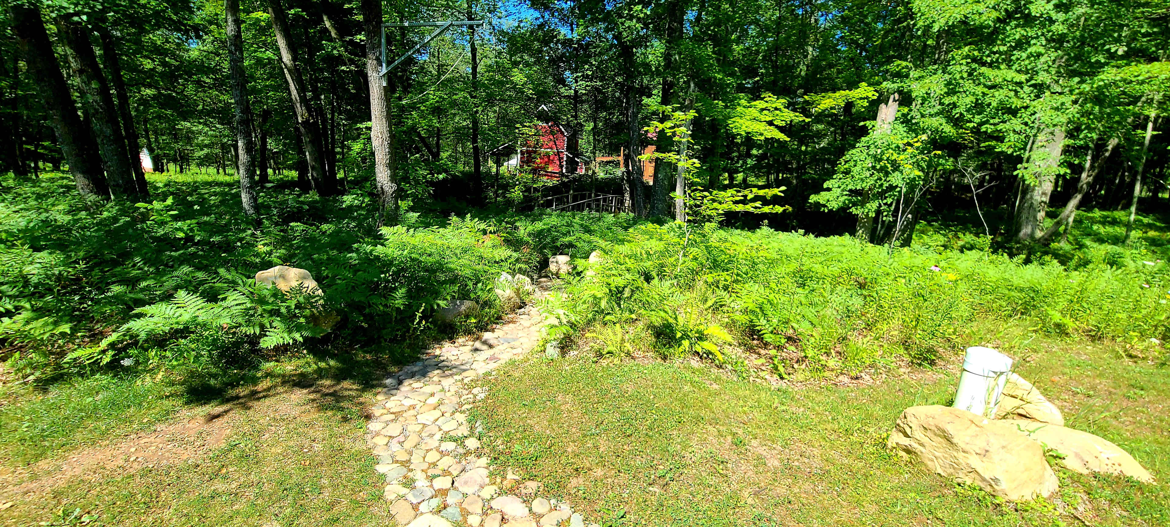 Picture of the site