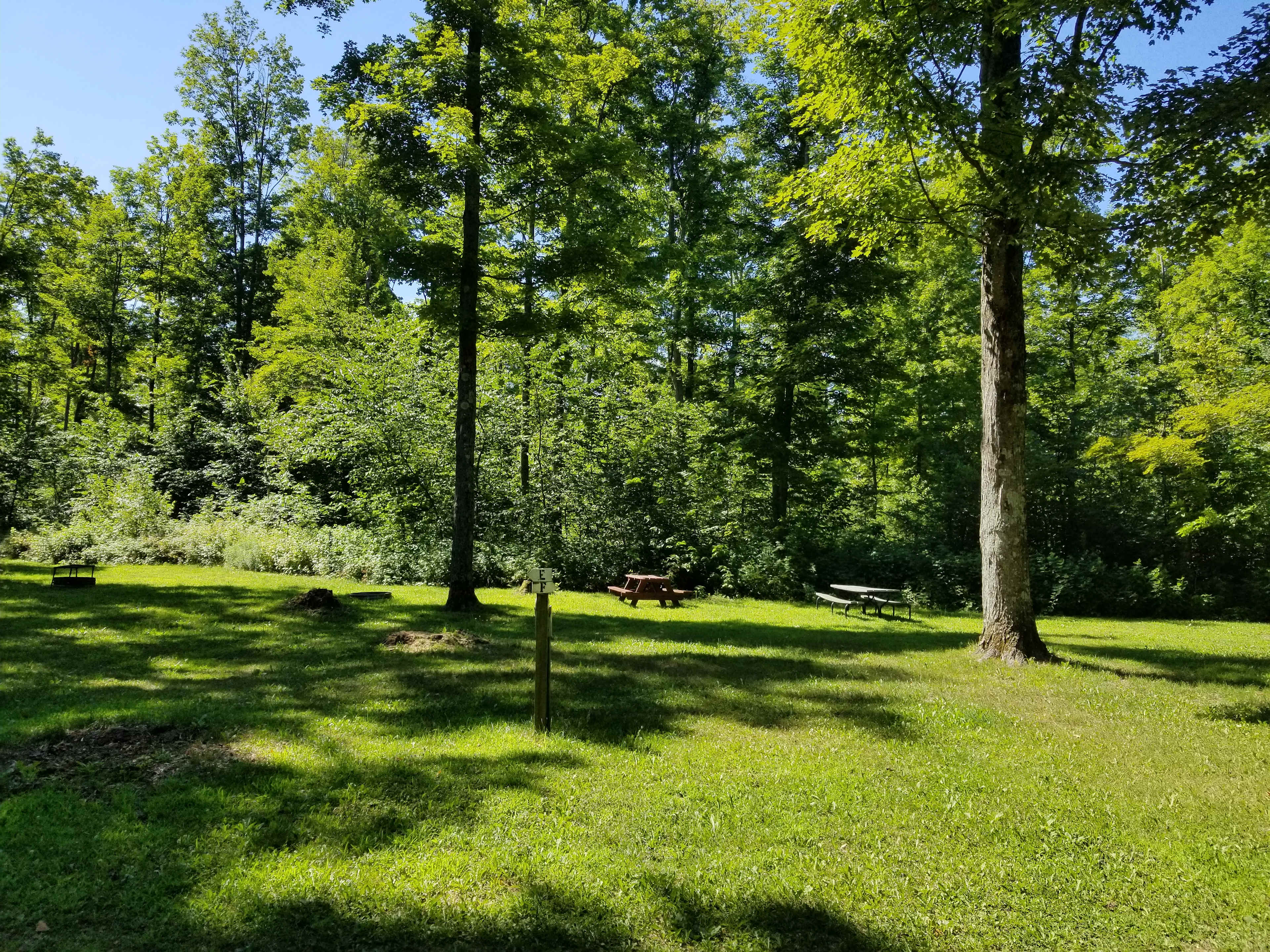 Sites 3 and 4