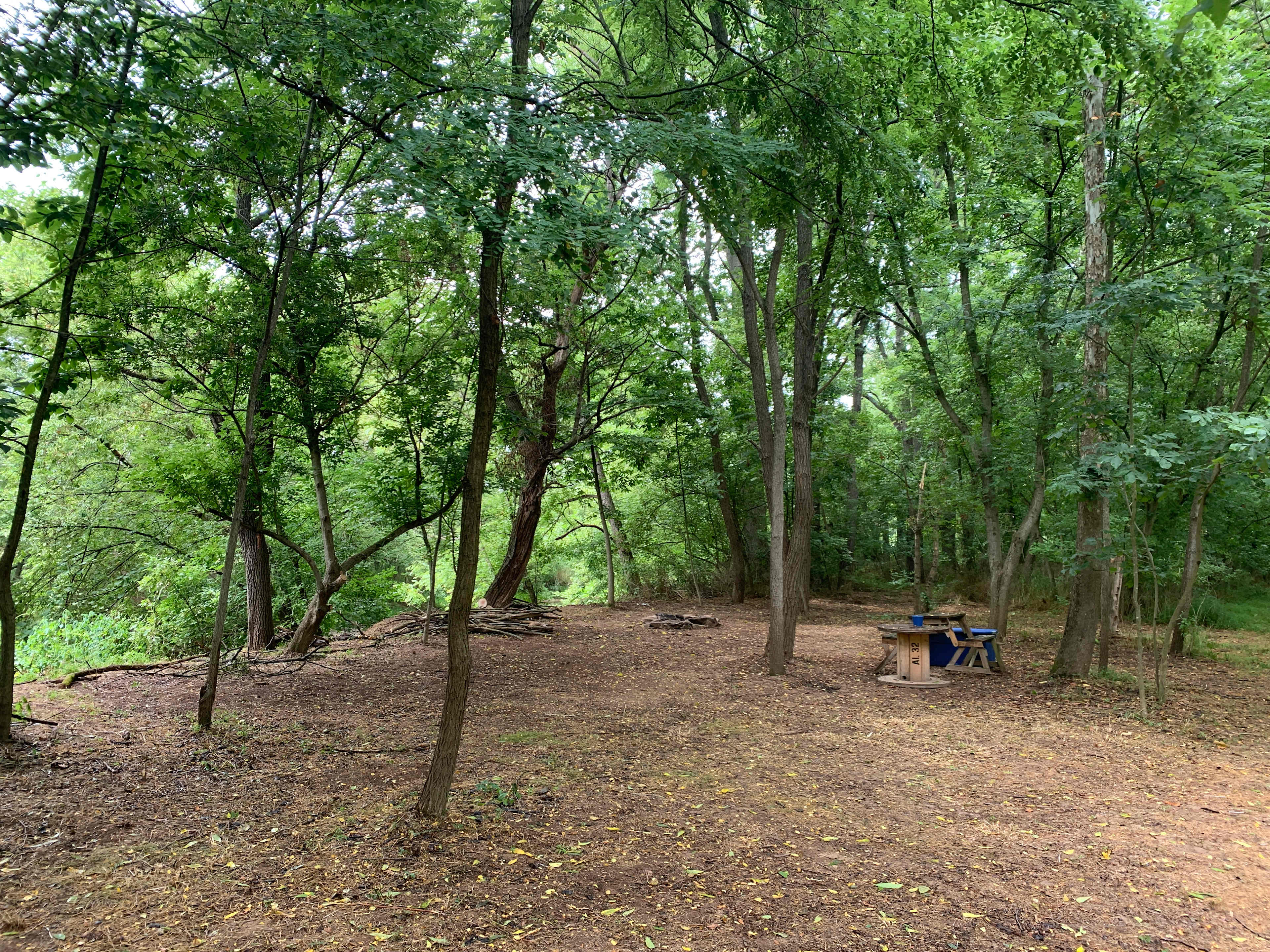 Tent Area