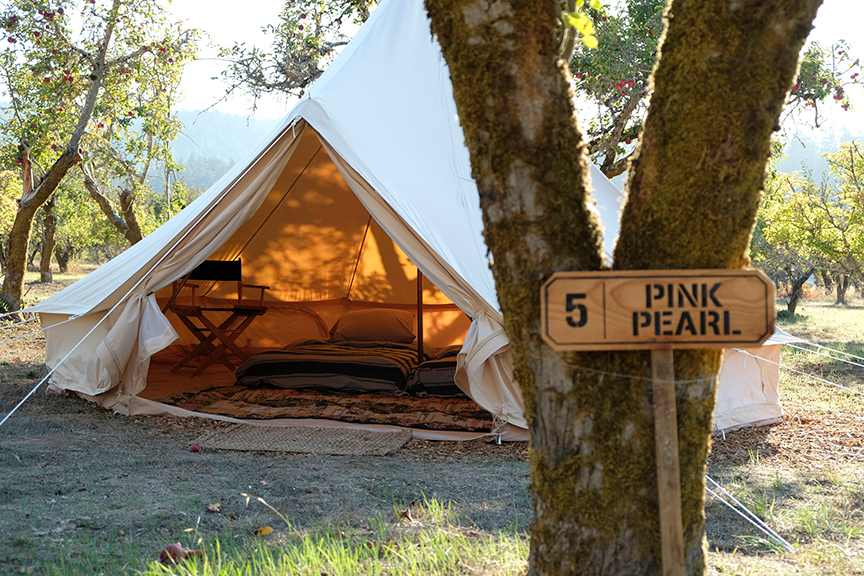 Pink Pearl glamping