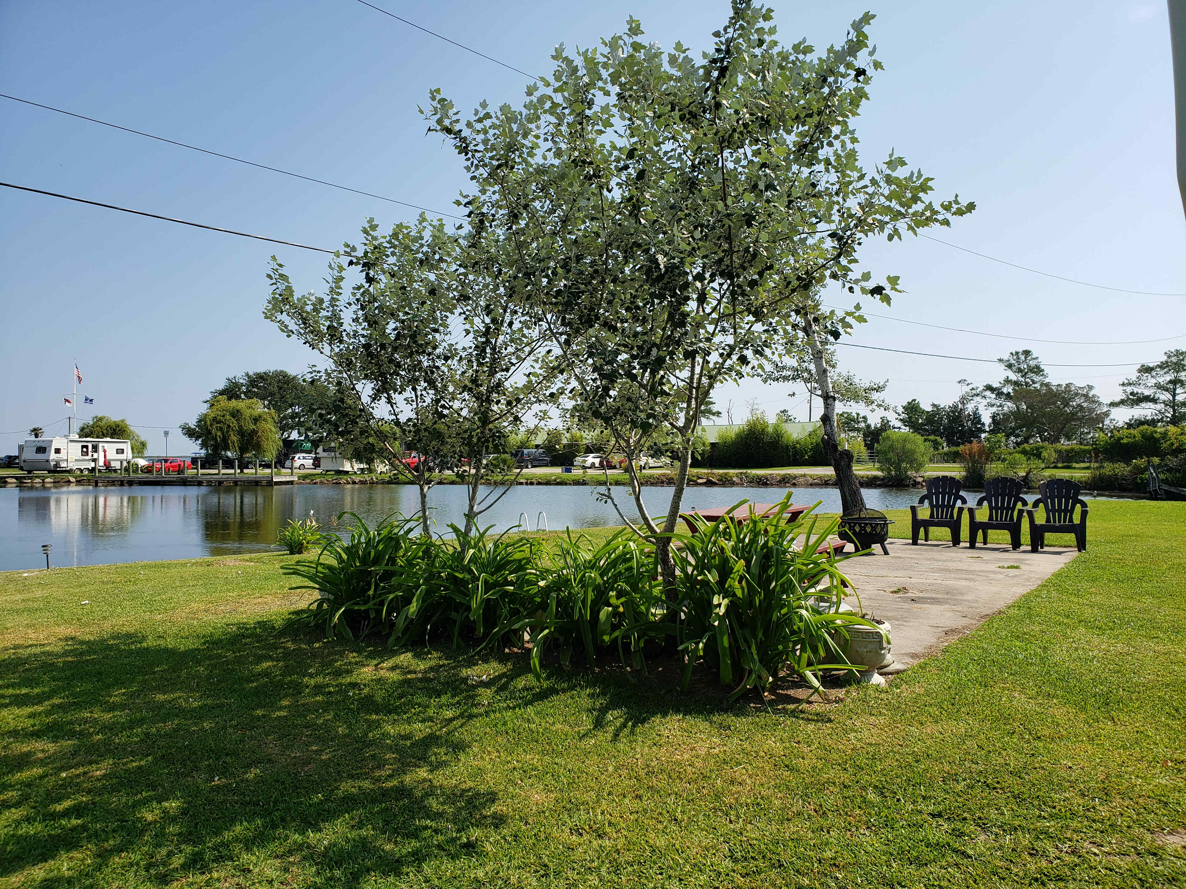 Picture of the site