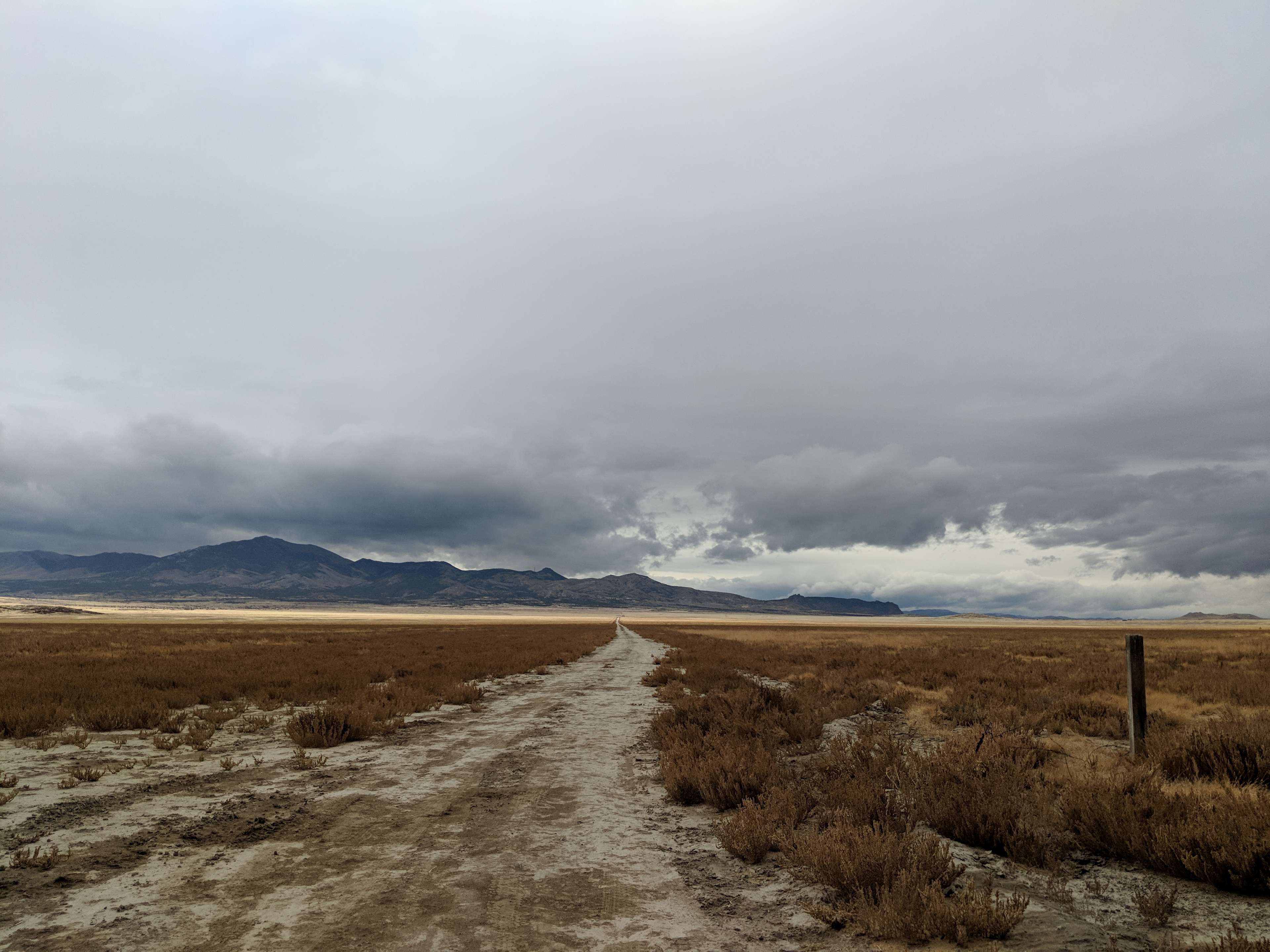 Welcome home. The bluish greys of the mountains and sky complement the greenish browns of the sagebrush and the vast sandy playa.