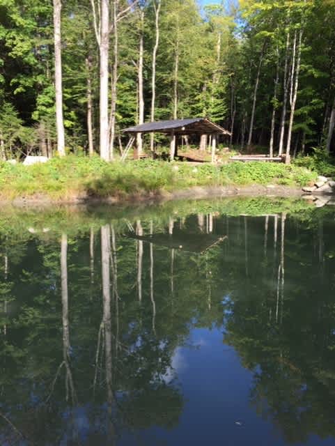 great reflection