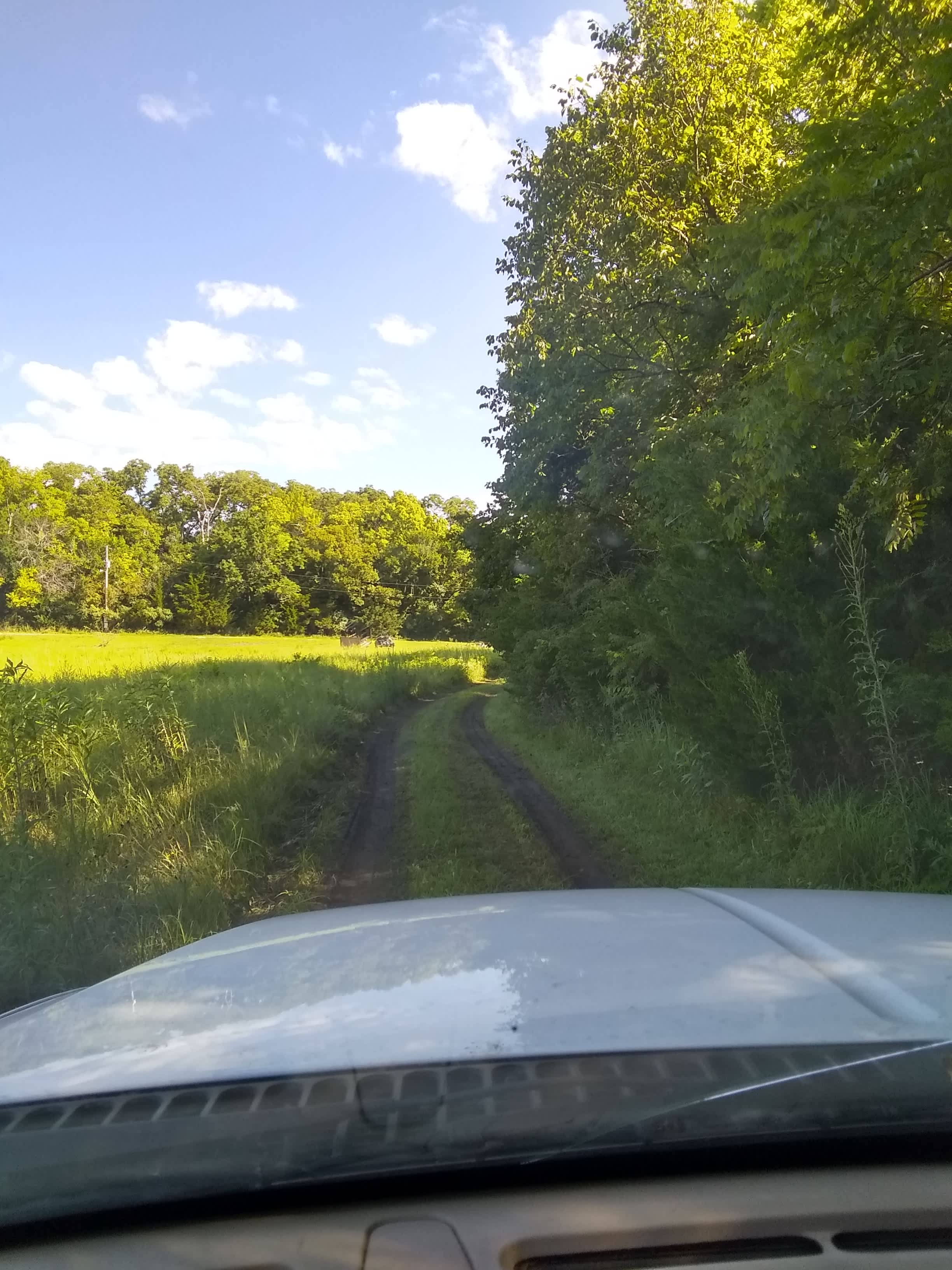 Timber Creek Farm