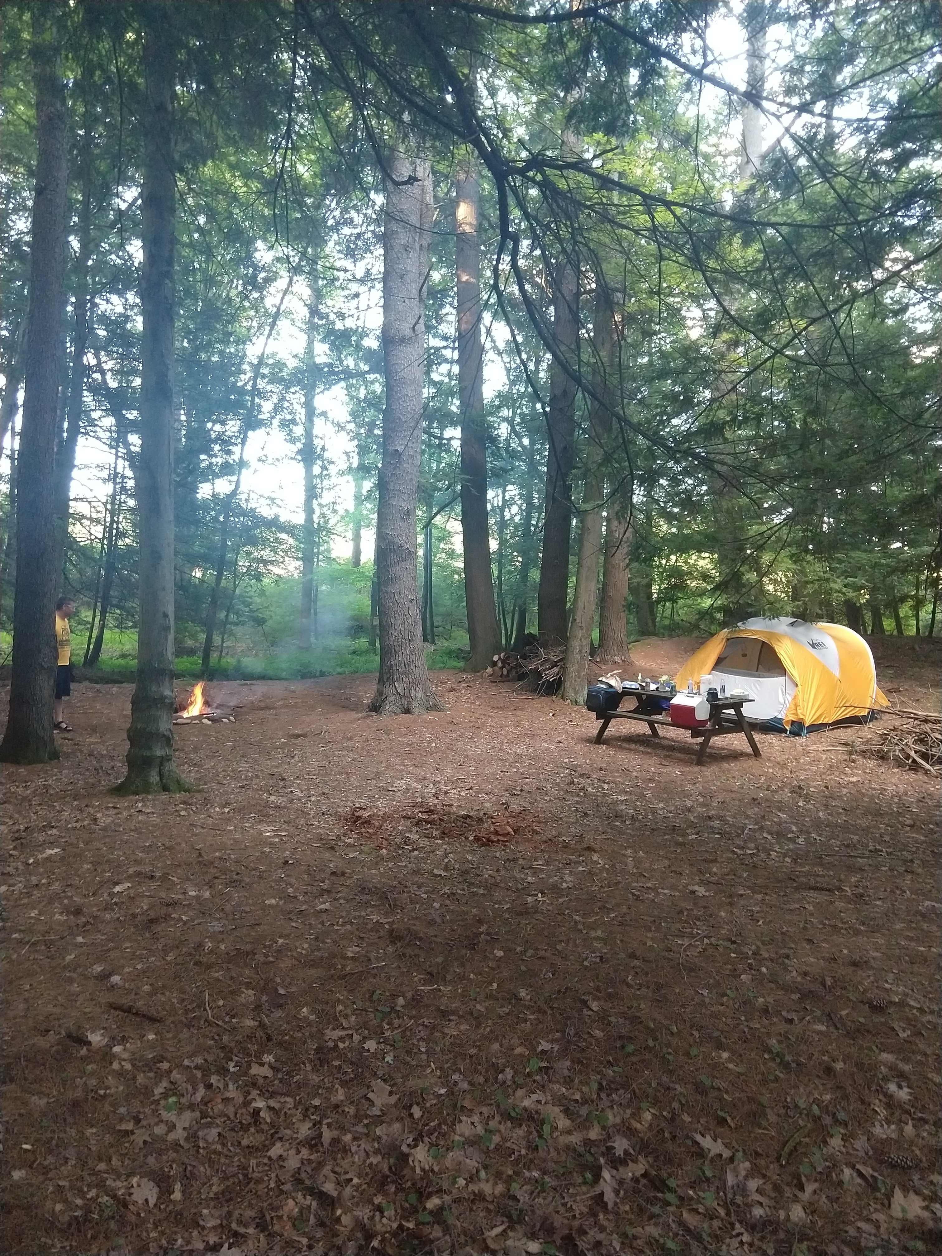 Picture of the site