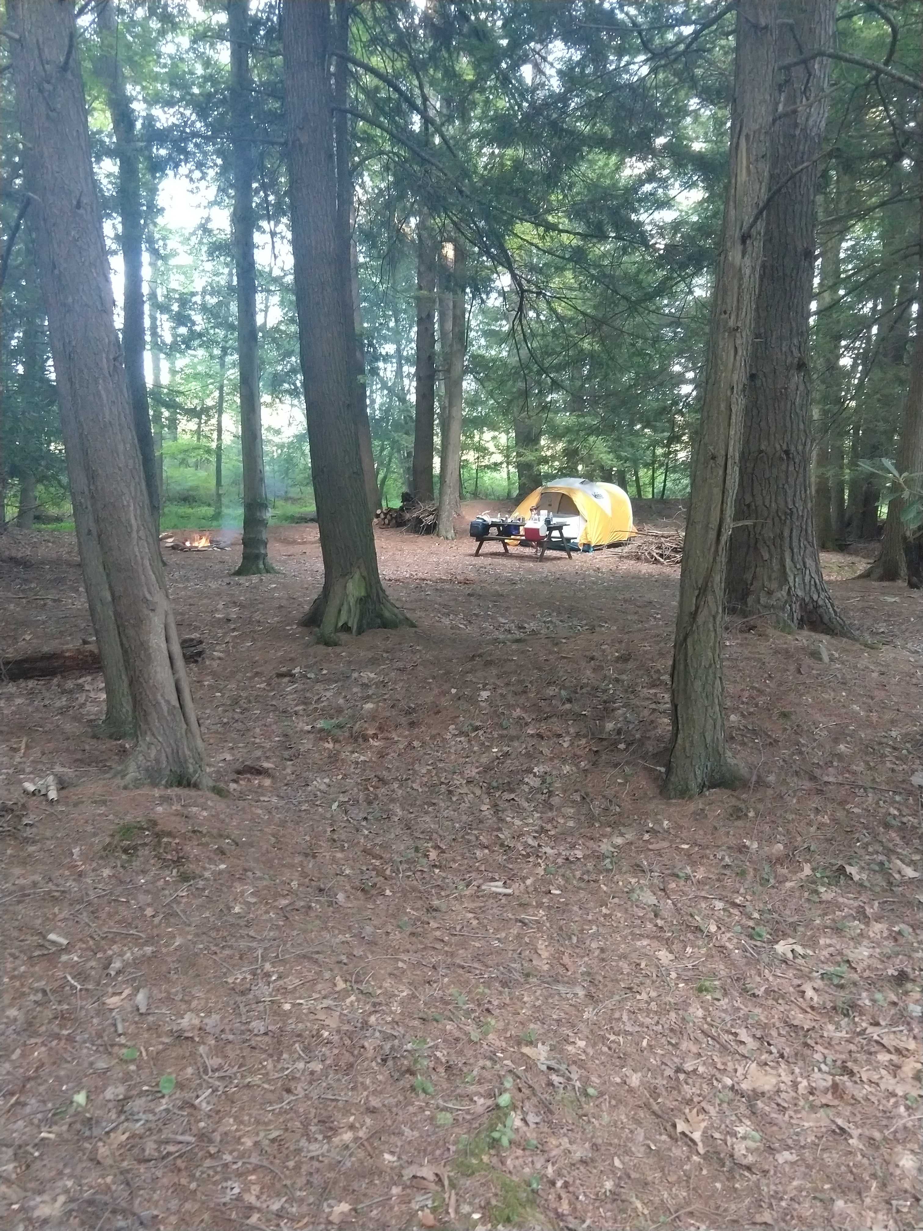 Picture of the site
