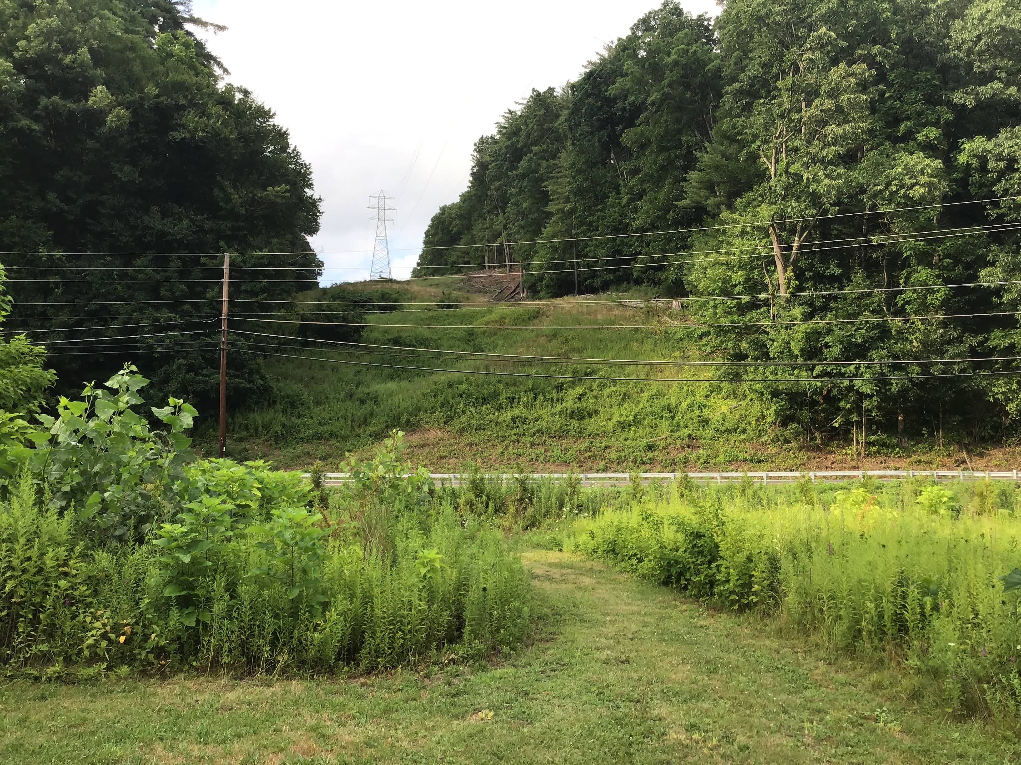 Private acreage across the street for hiking & mountain biking with some old lumber trails 