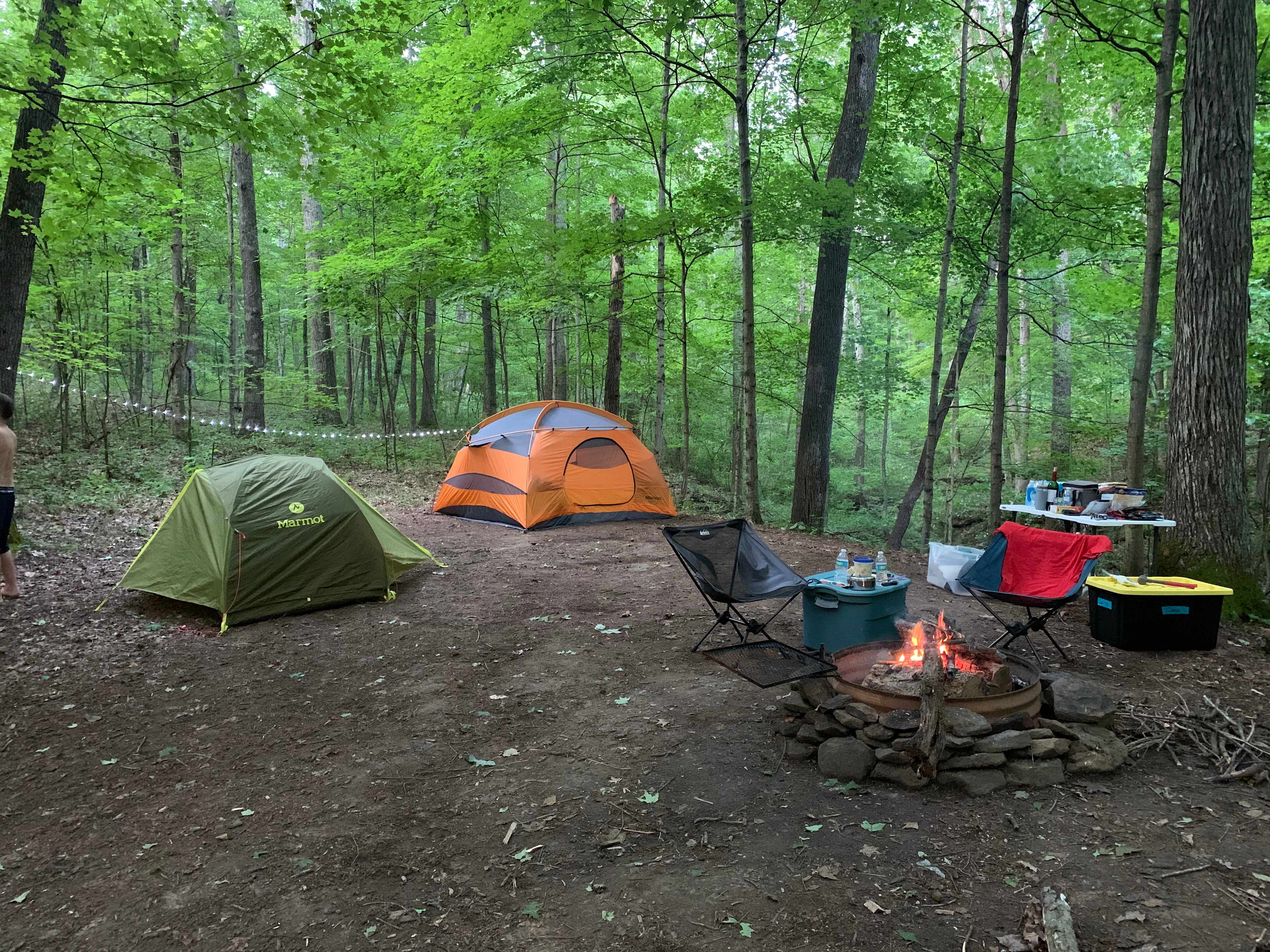Private Forest Campsite