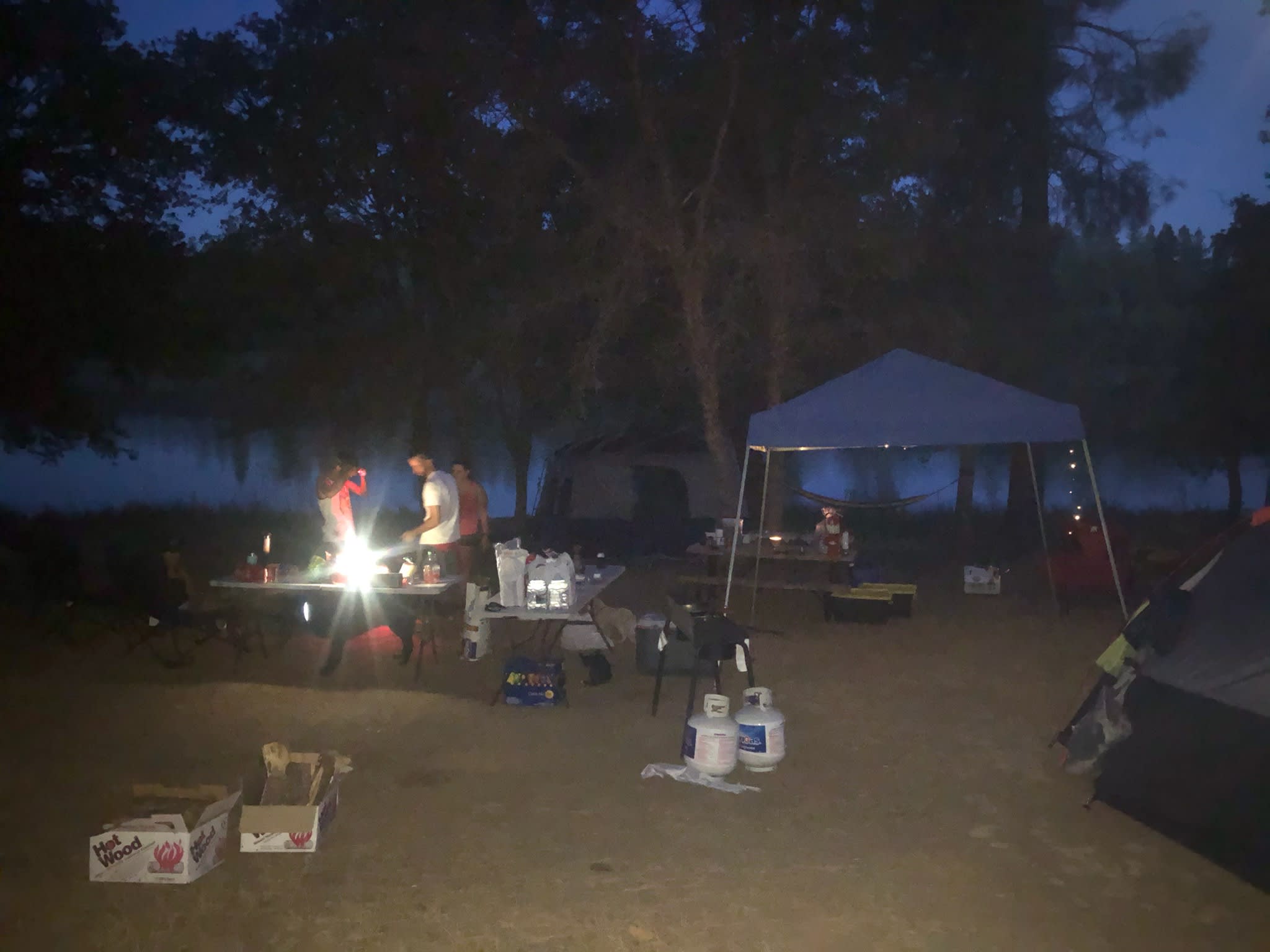 Picture of the site