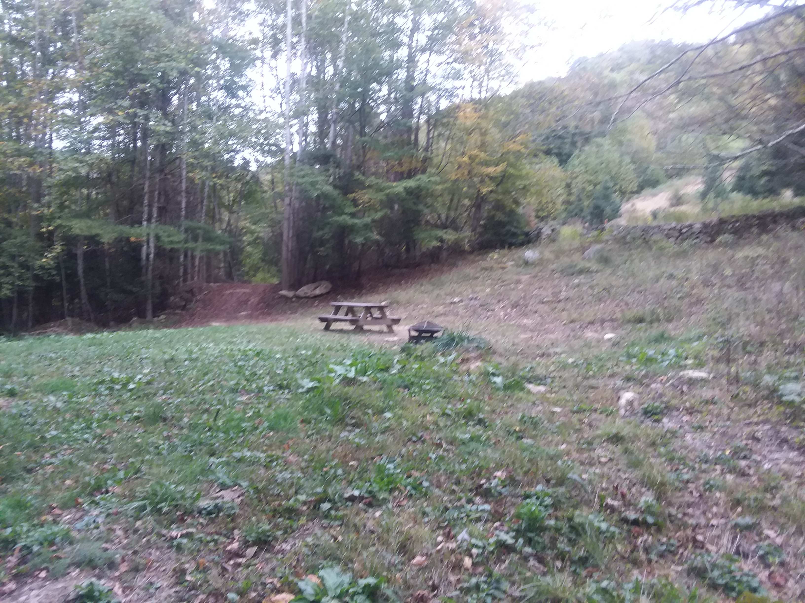 Picture of the site