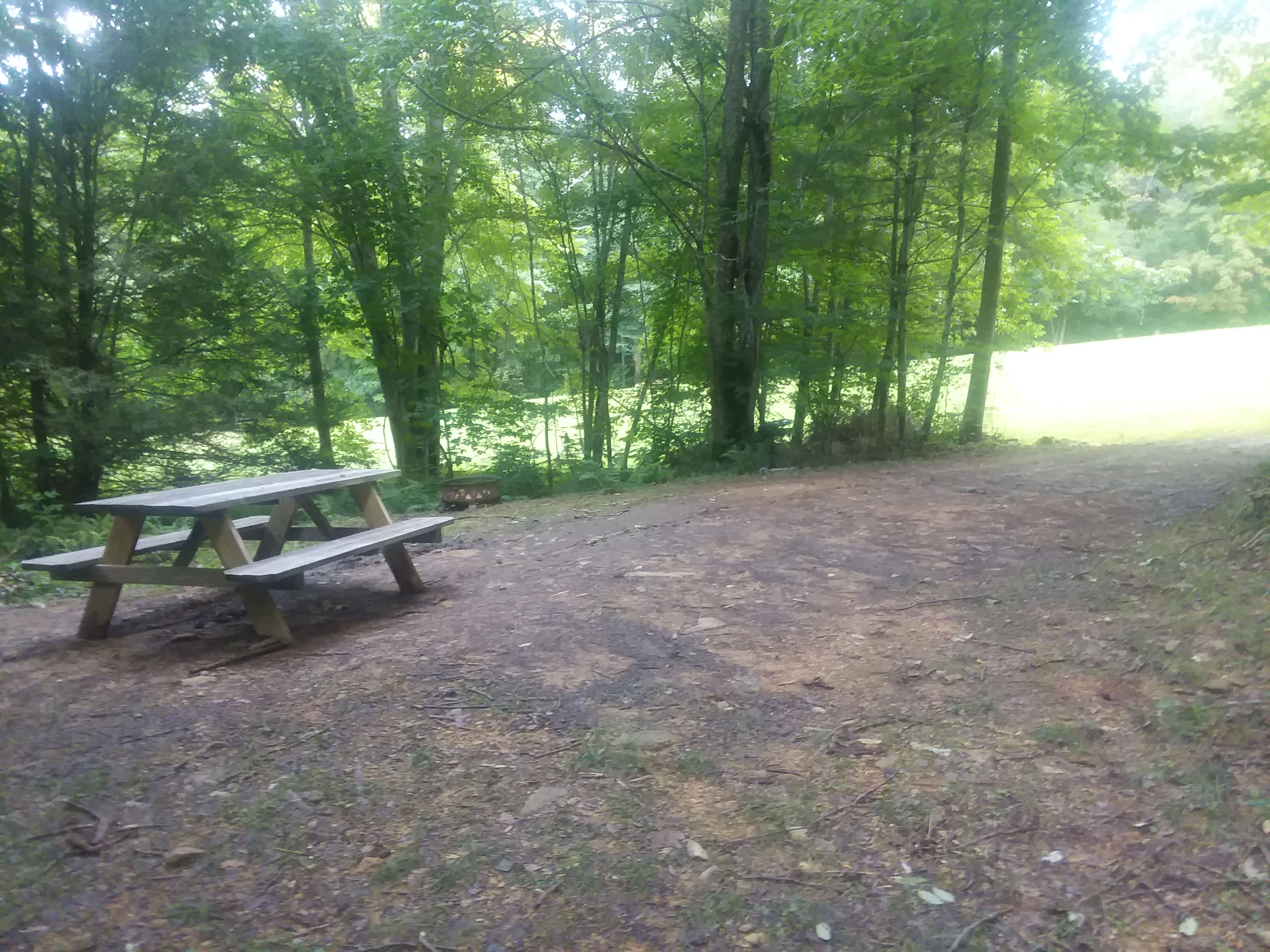 Picture of the site