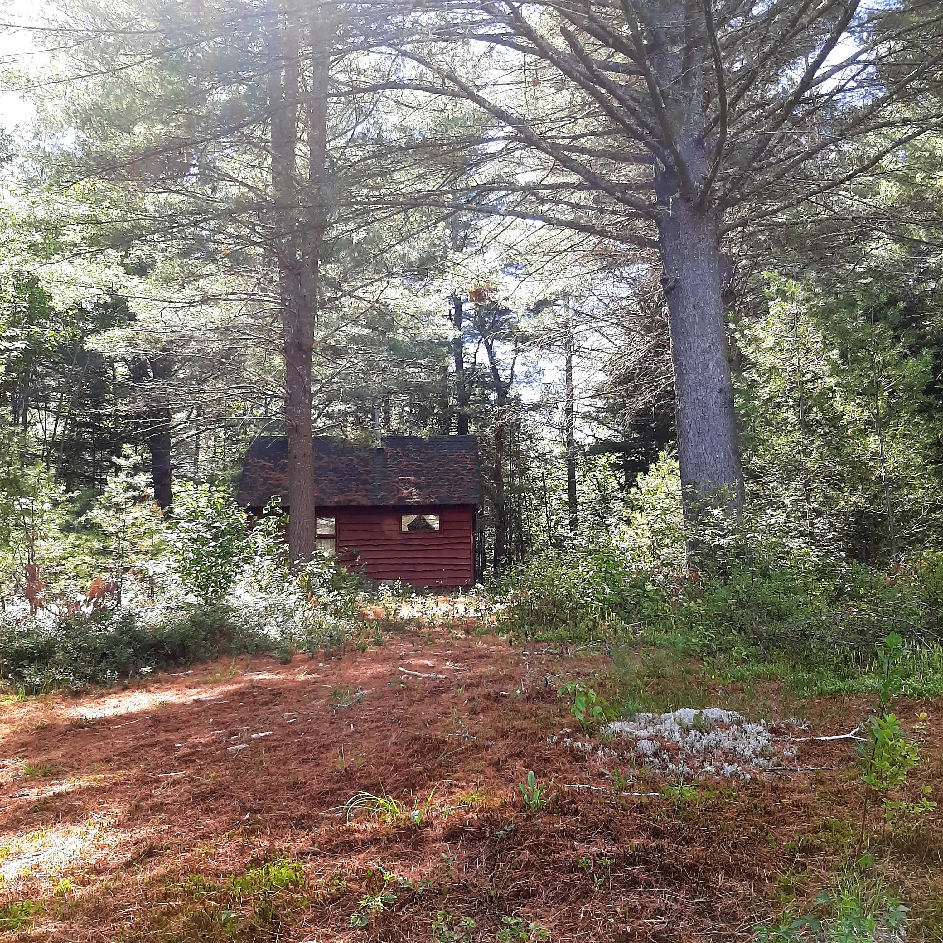 Lovely and quaint little cabin on the property.