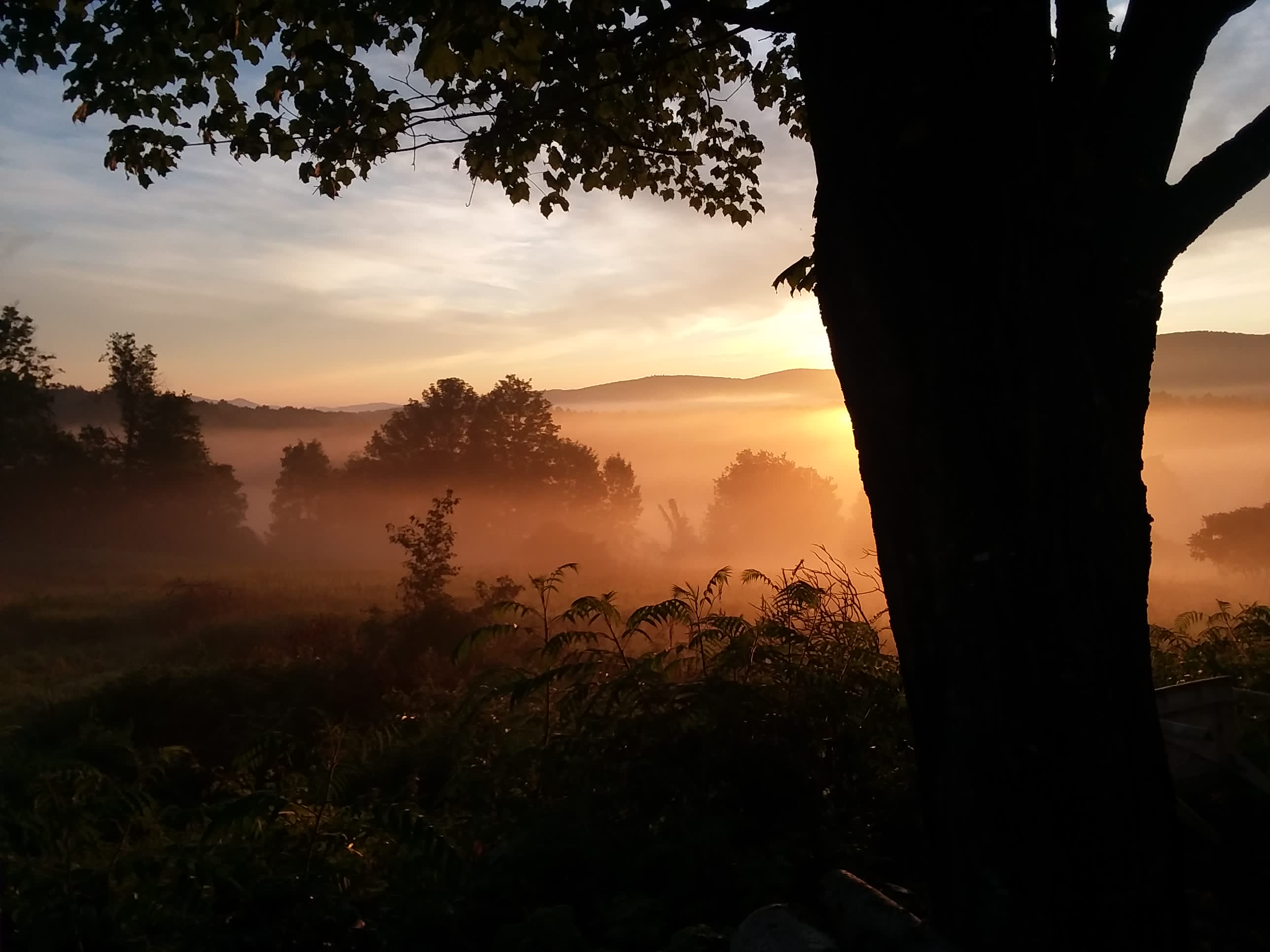 Harold's View Farm