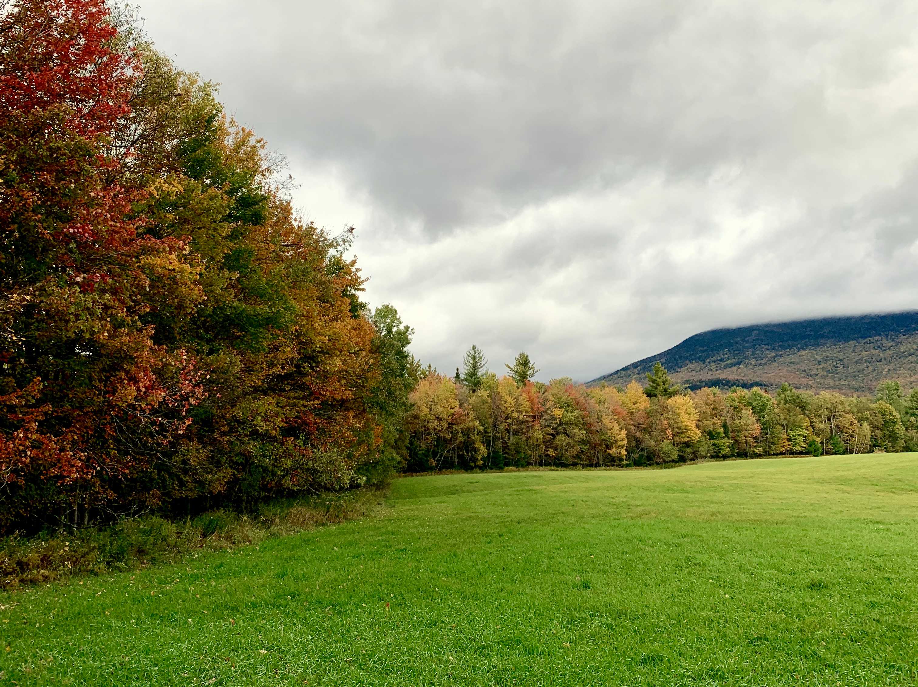 North tree line, Upper Field 