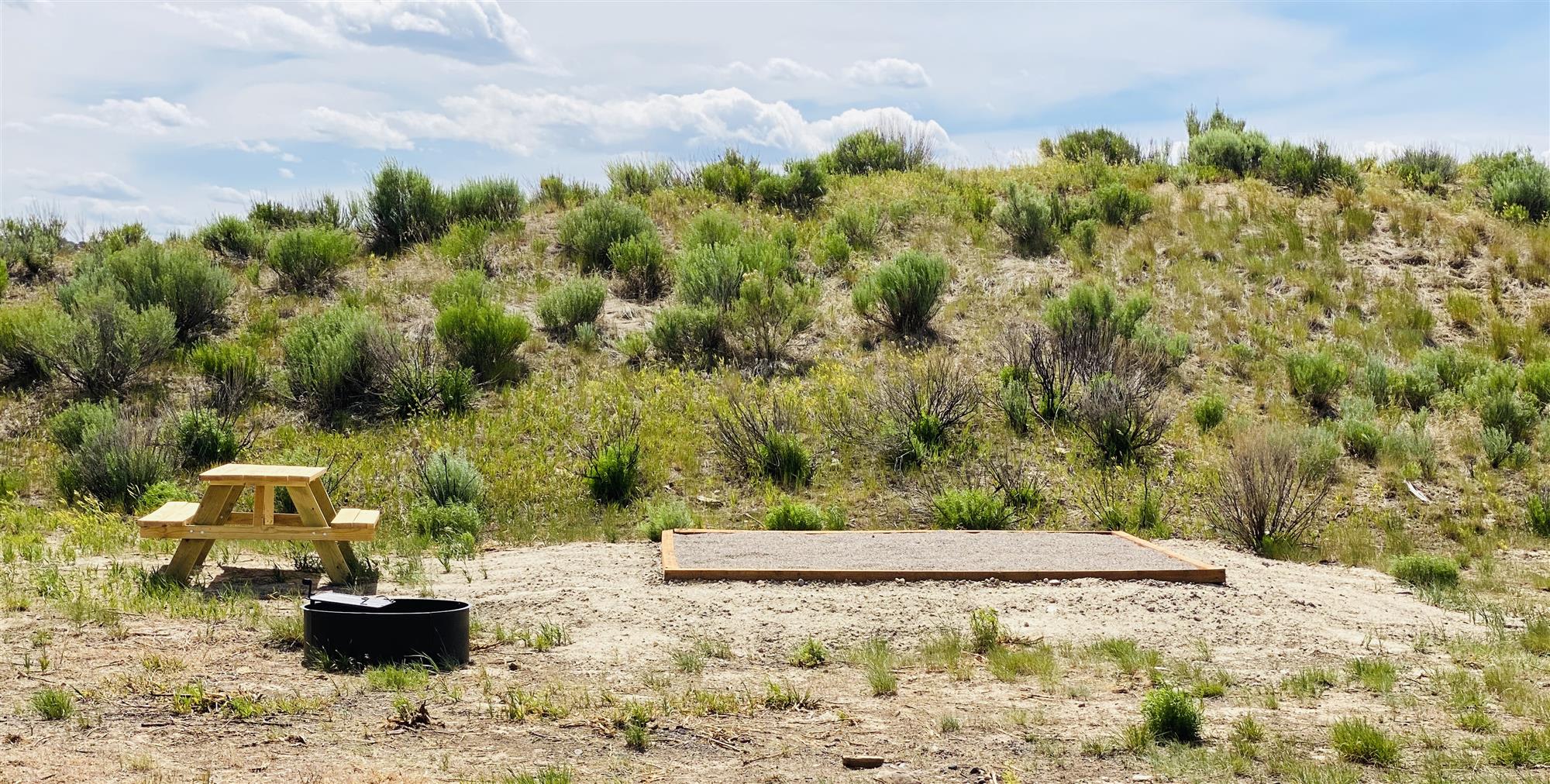 Picture of the site