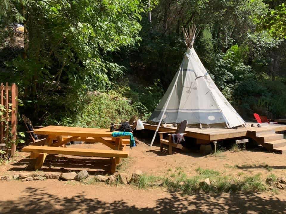 Picture of the site