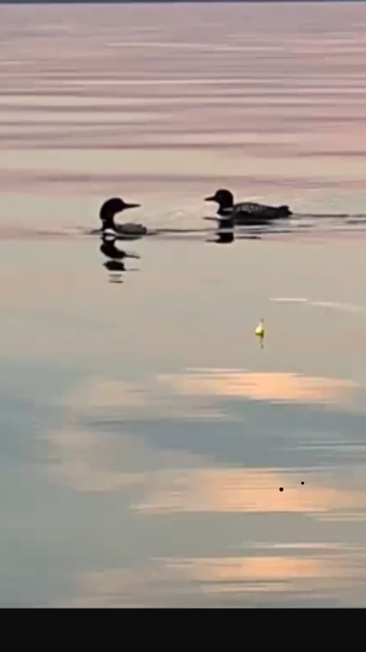 R&R Mille Lacs