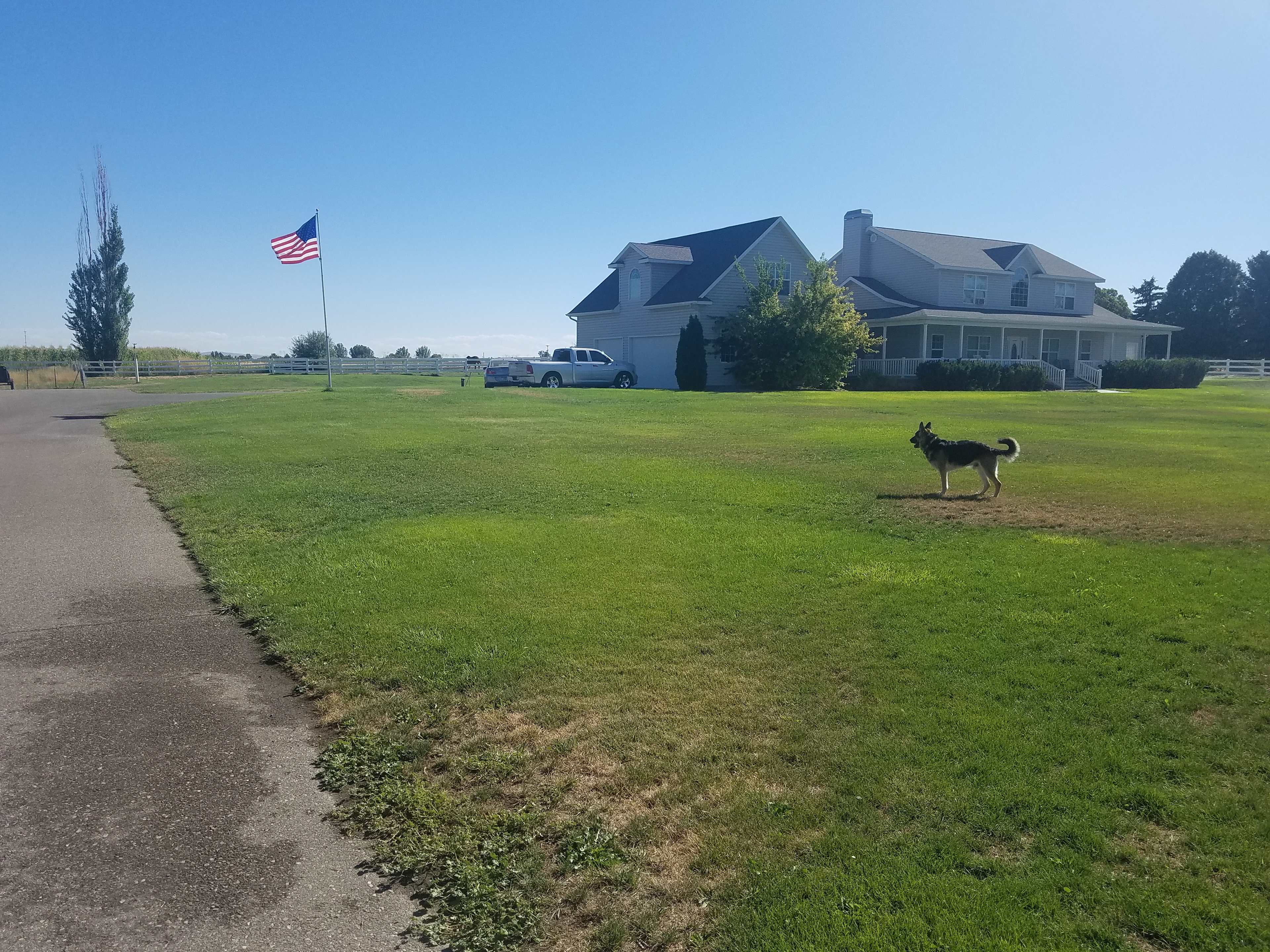 Picture of the site