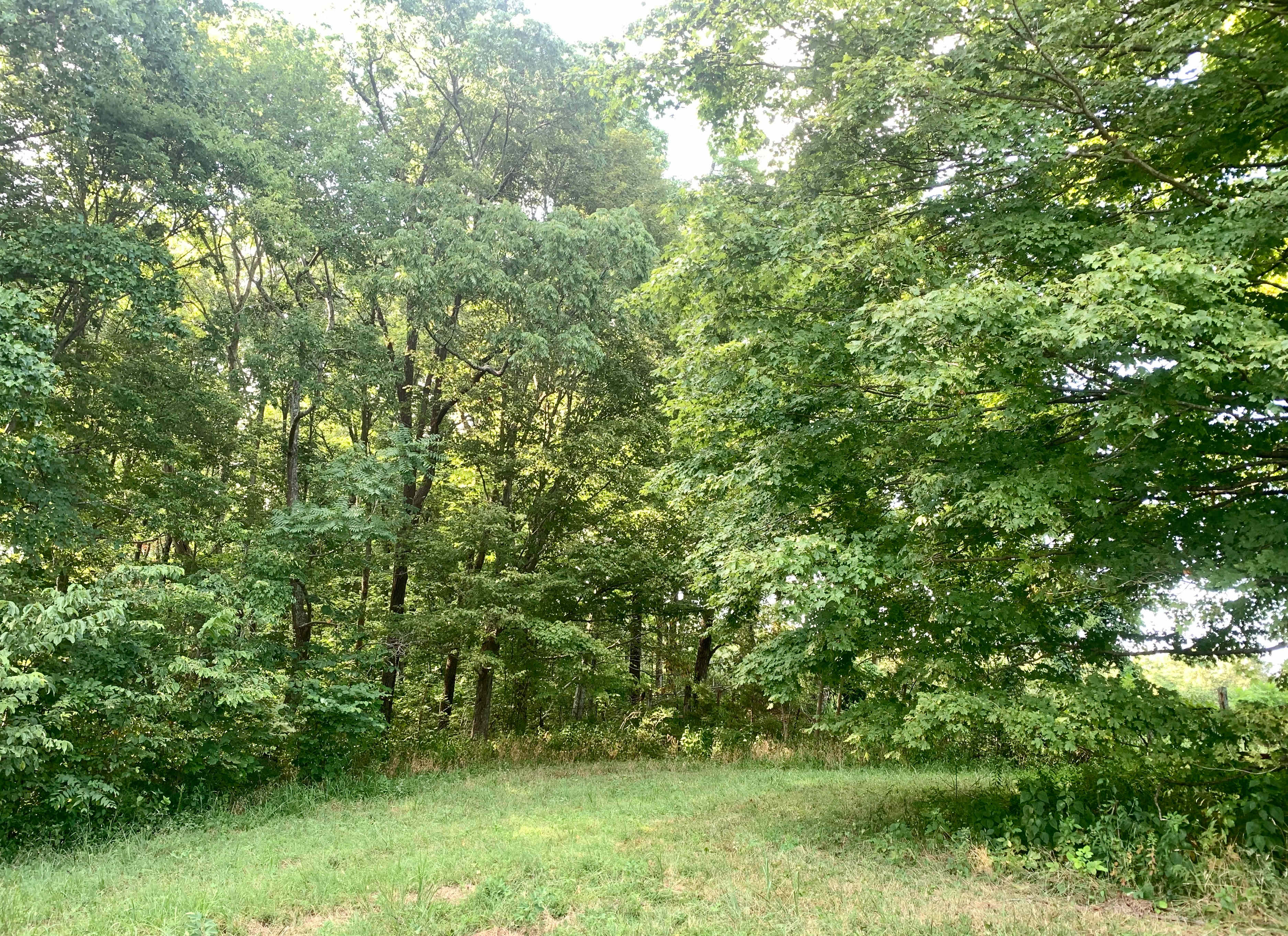 Open area near NW site