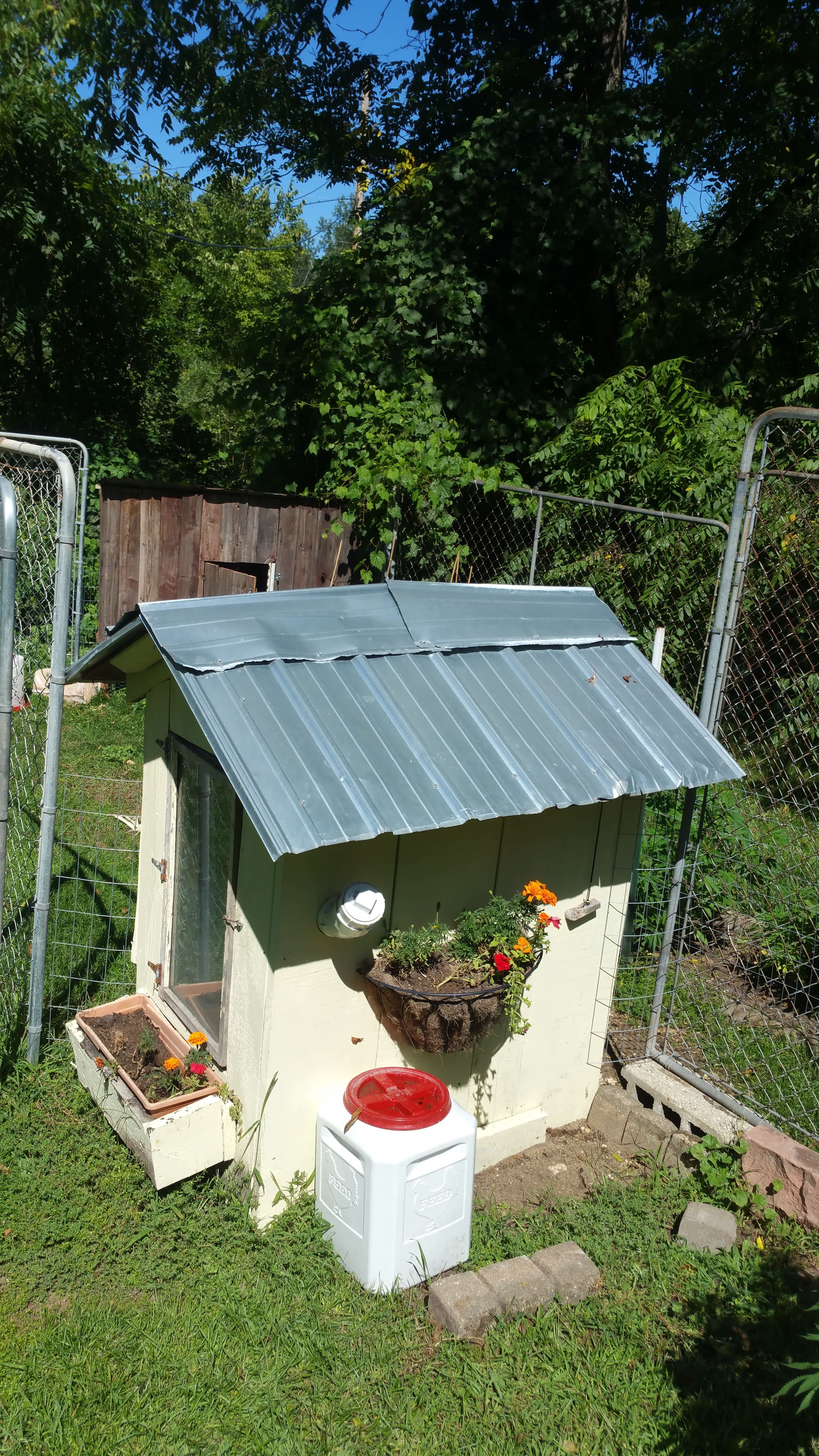 Chicken Coops