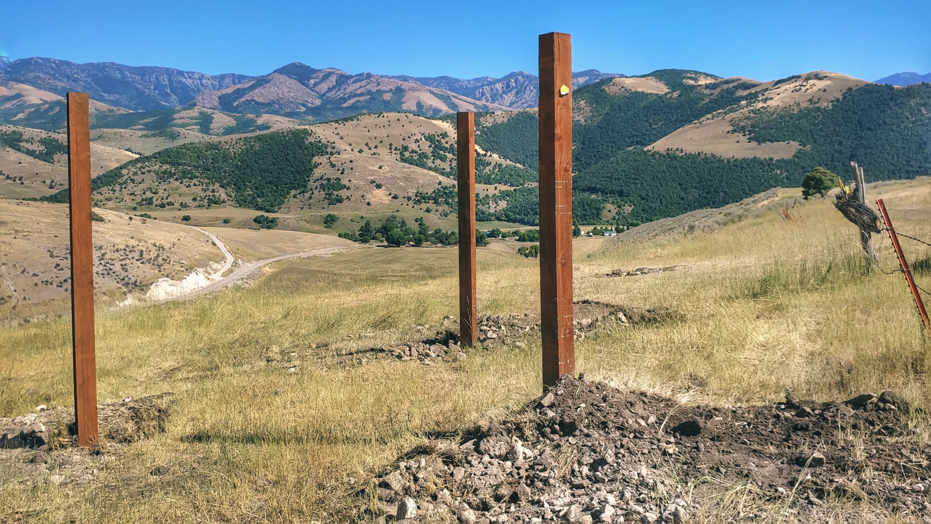 Hammock Posts at #4