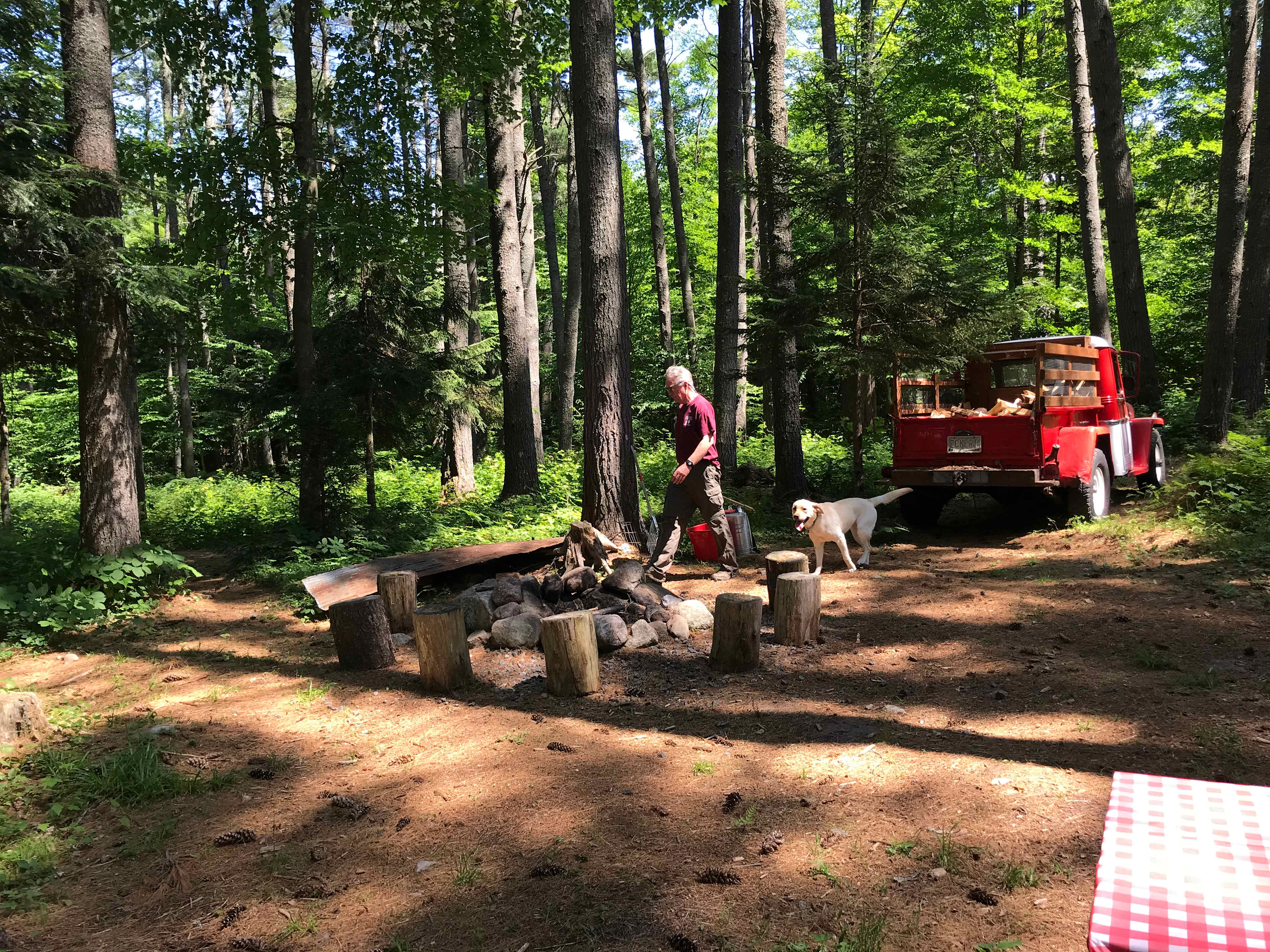 Picture of the site