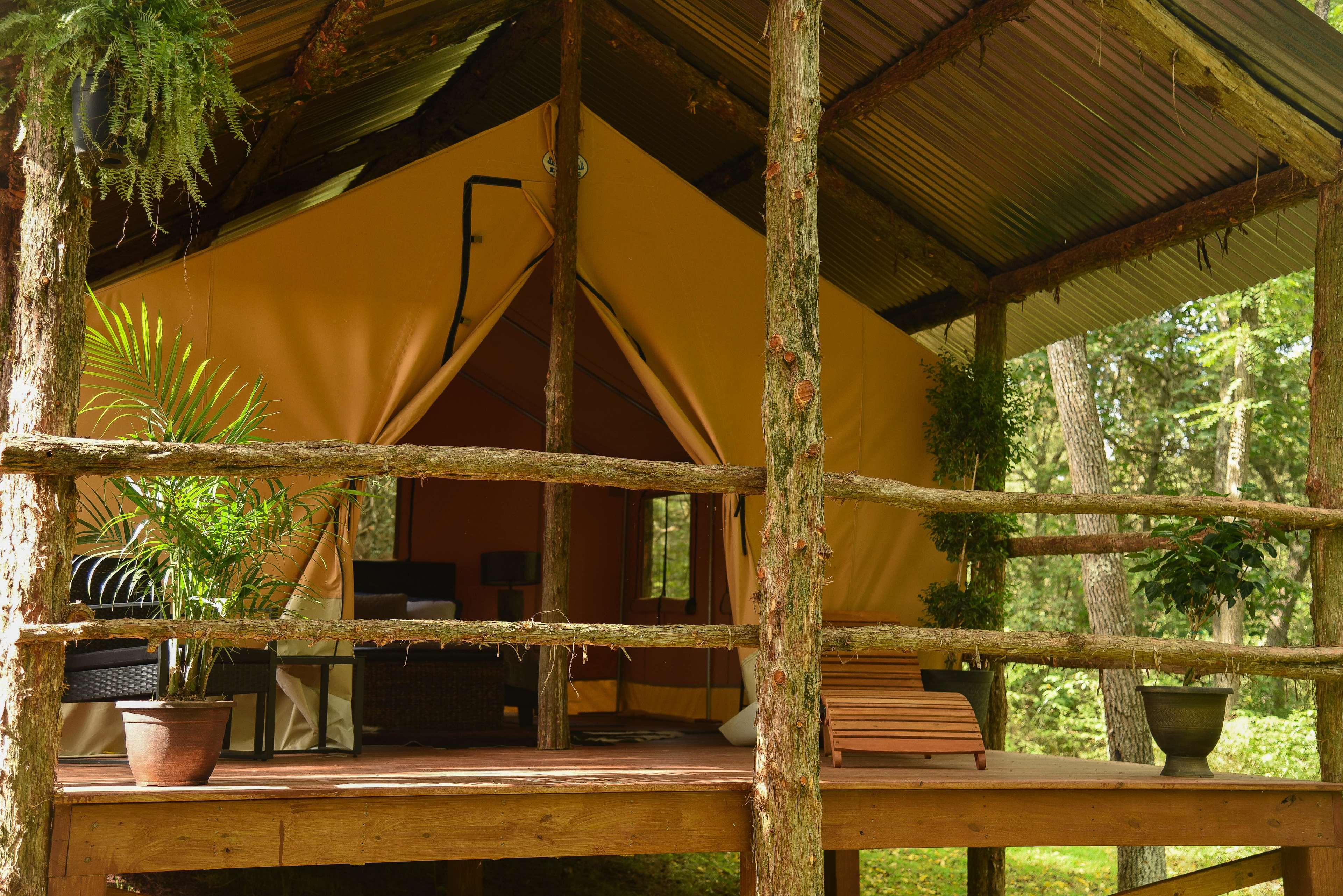 Big Mount Glamping