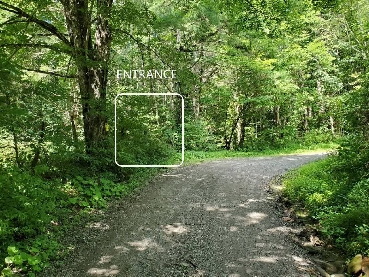 Approaching the entrance along the road. 